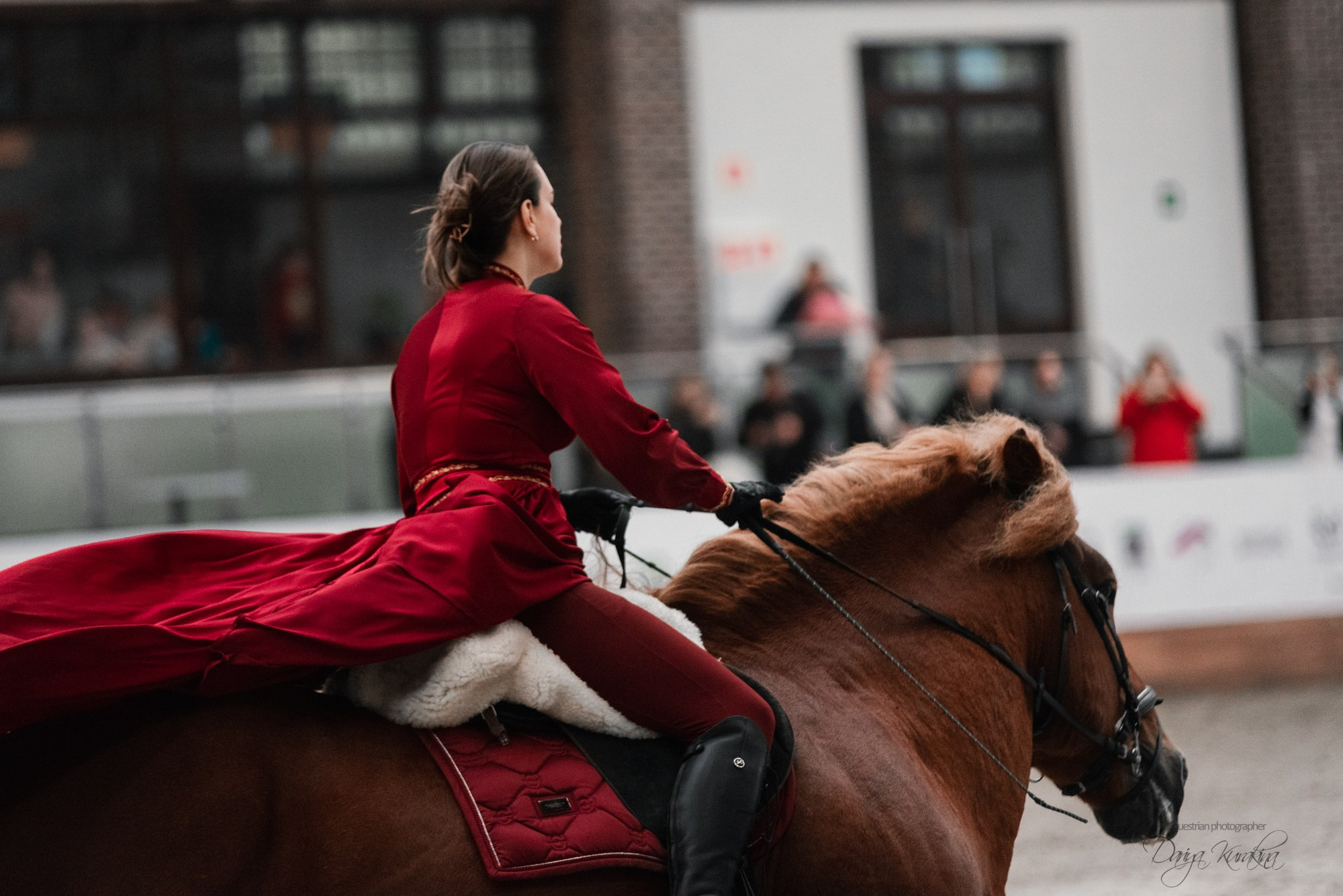 8-я международная выставка Конная Россия. Конный фотограф Куракина Дарья • Фотосессии с лошадьми
