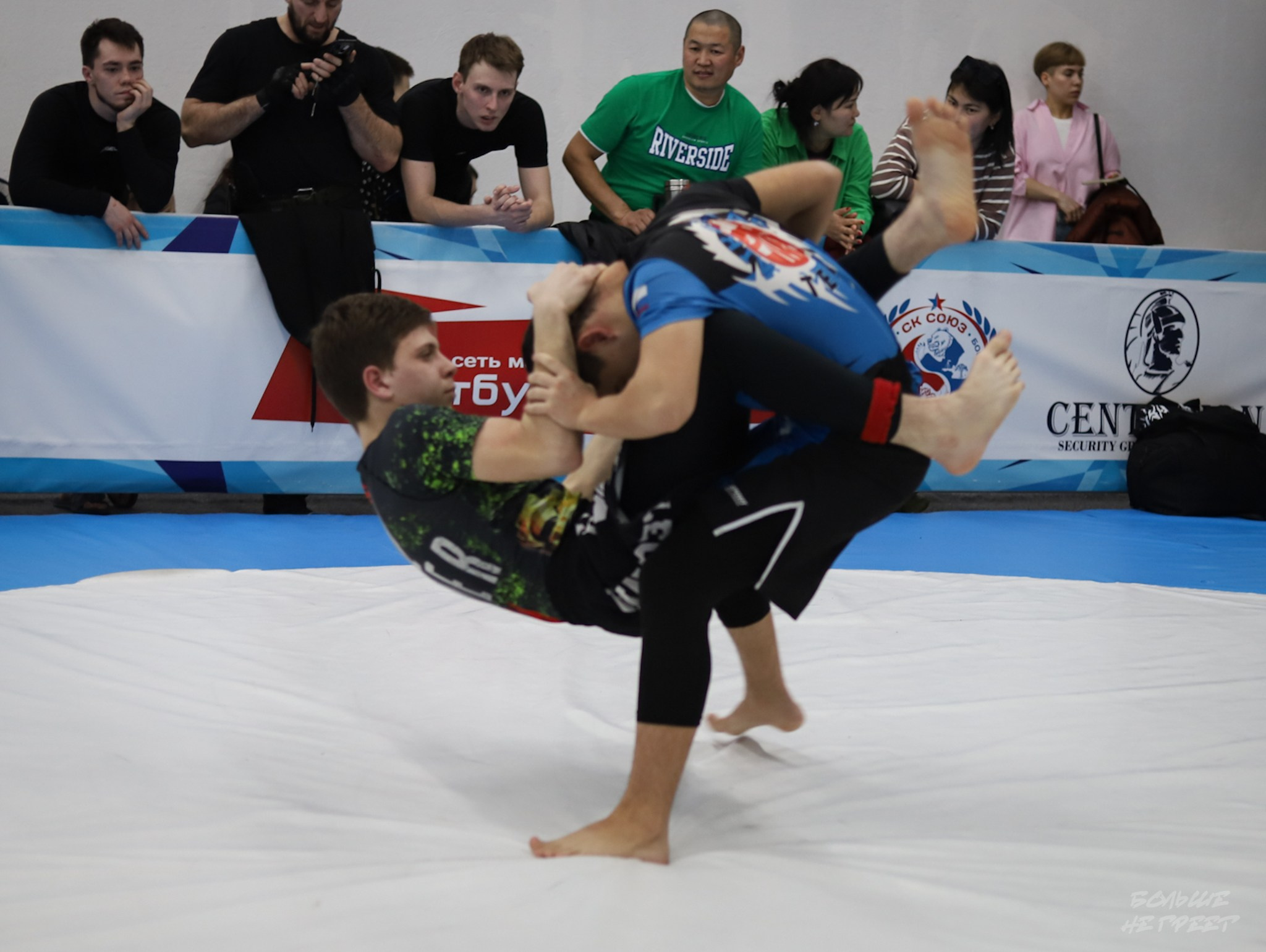 GORILLA PRIDE CUP. Больше не греет