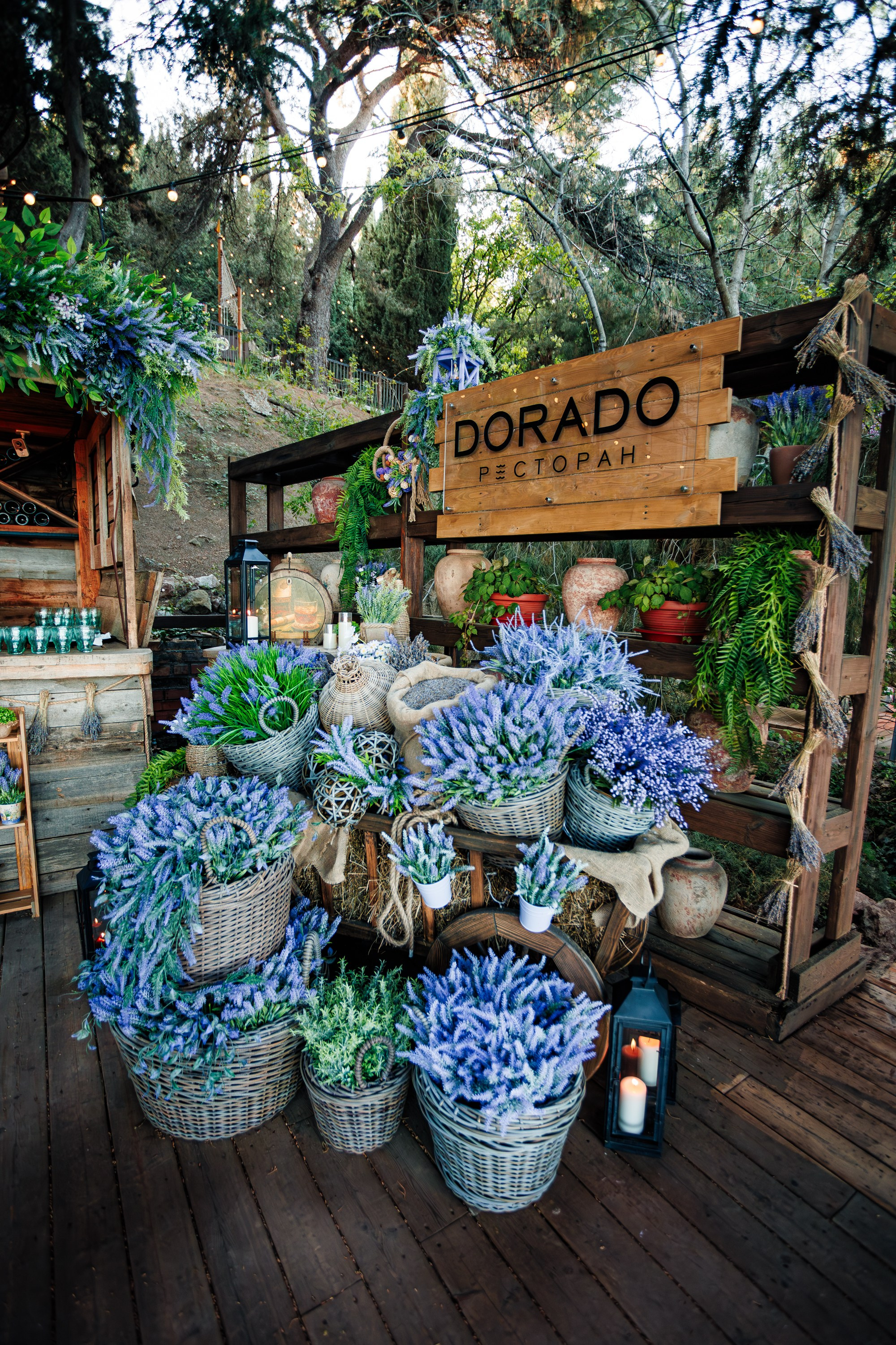 Открытие ресторана «DORADO». Аминов Руслан | Фотограф