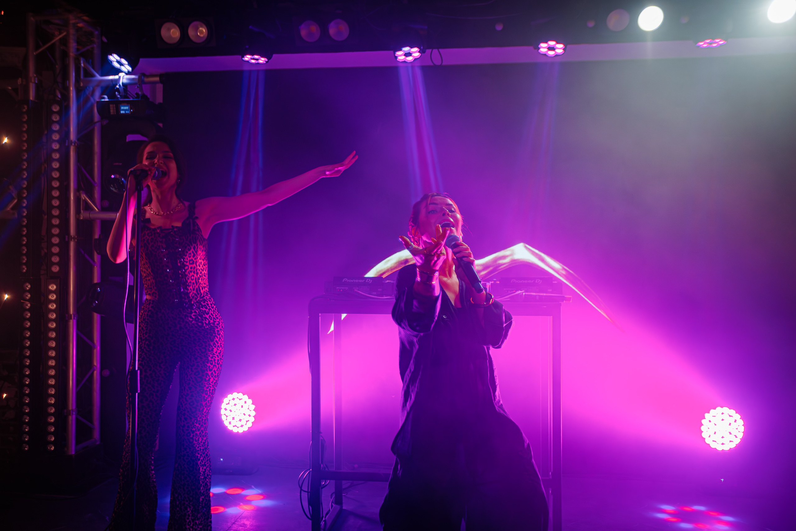 «LIZWI"_Чайка на пляже_Ялта_7.06.2025. Аминов Руслан | Фотограф