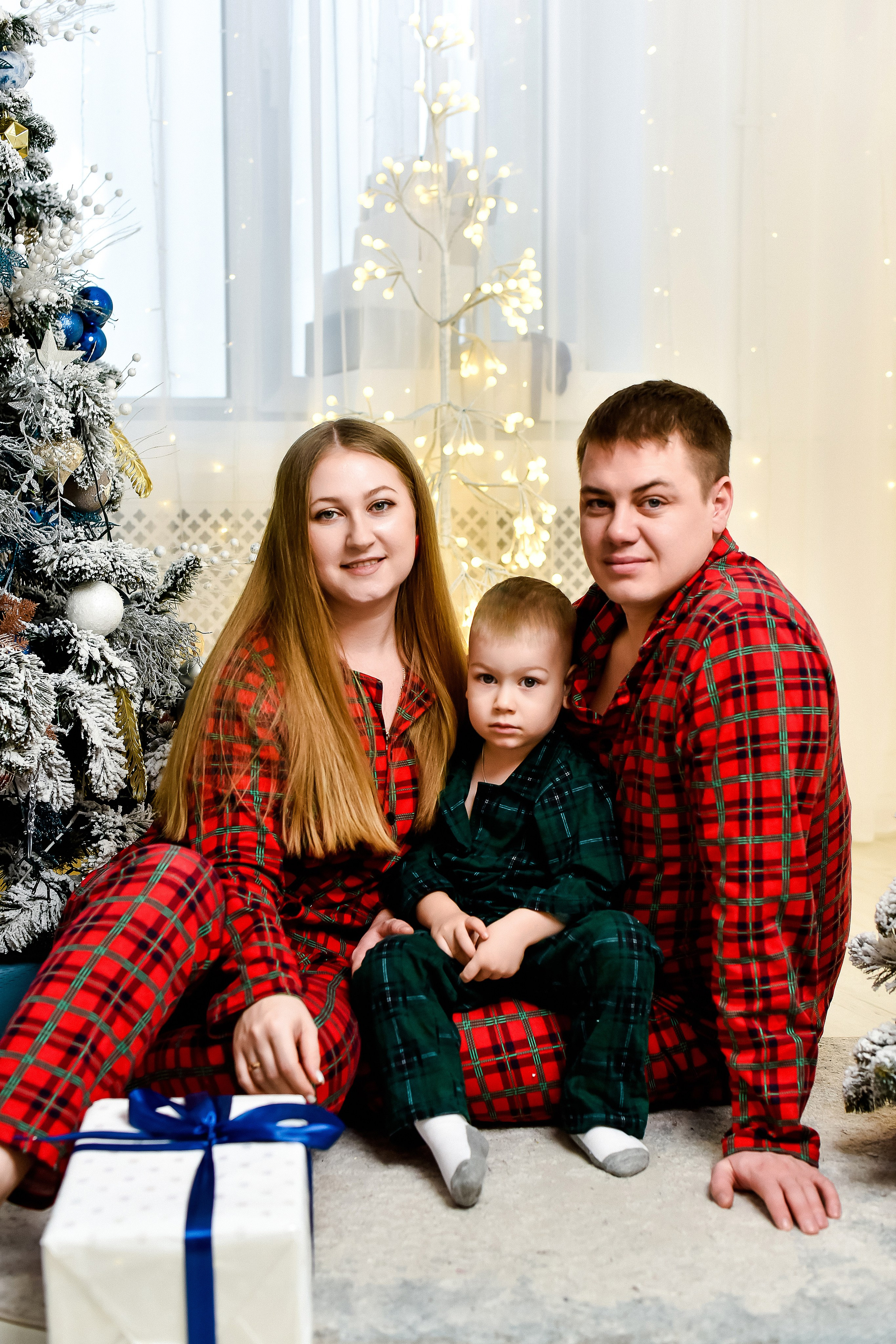 Семья Анны, Сергея и Вовочки