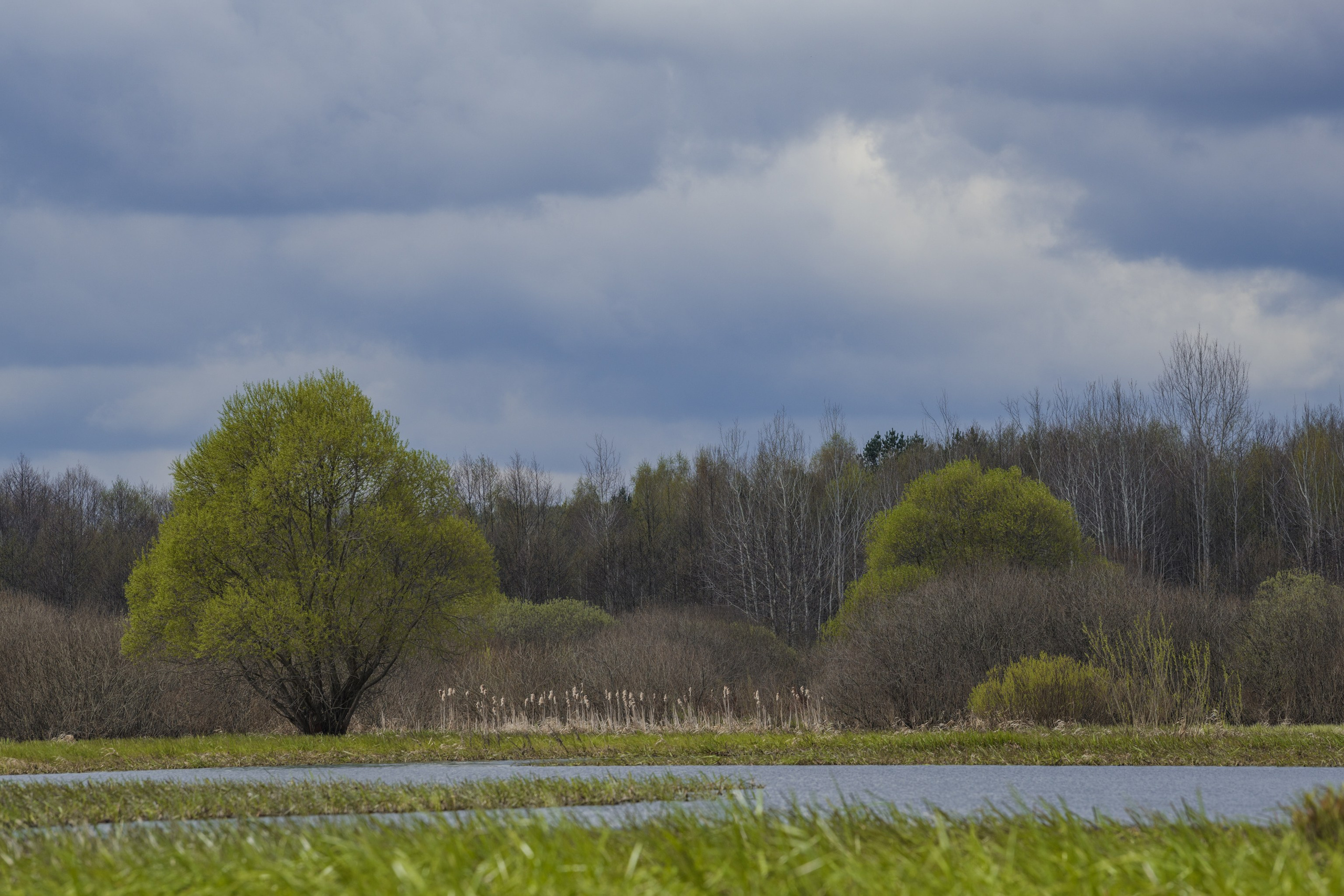 Водный поход 1-й кс по реке Случь. Репортажный фотограф Владимир Беляй