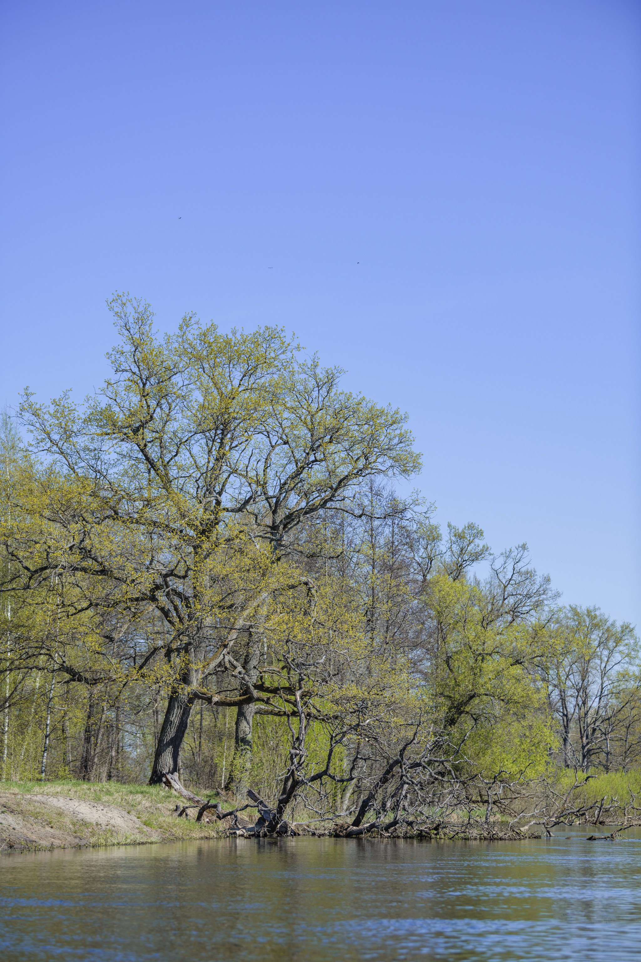 Водный поход 1-й кс по реке Случь. Репортажный фотограф Владимир Беляй