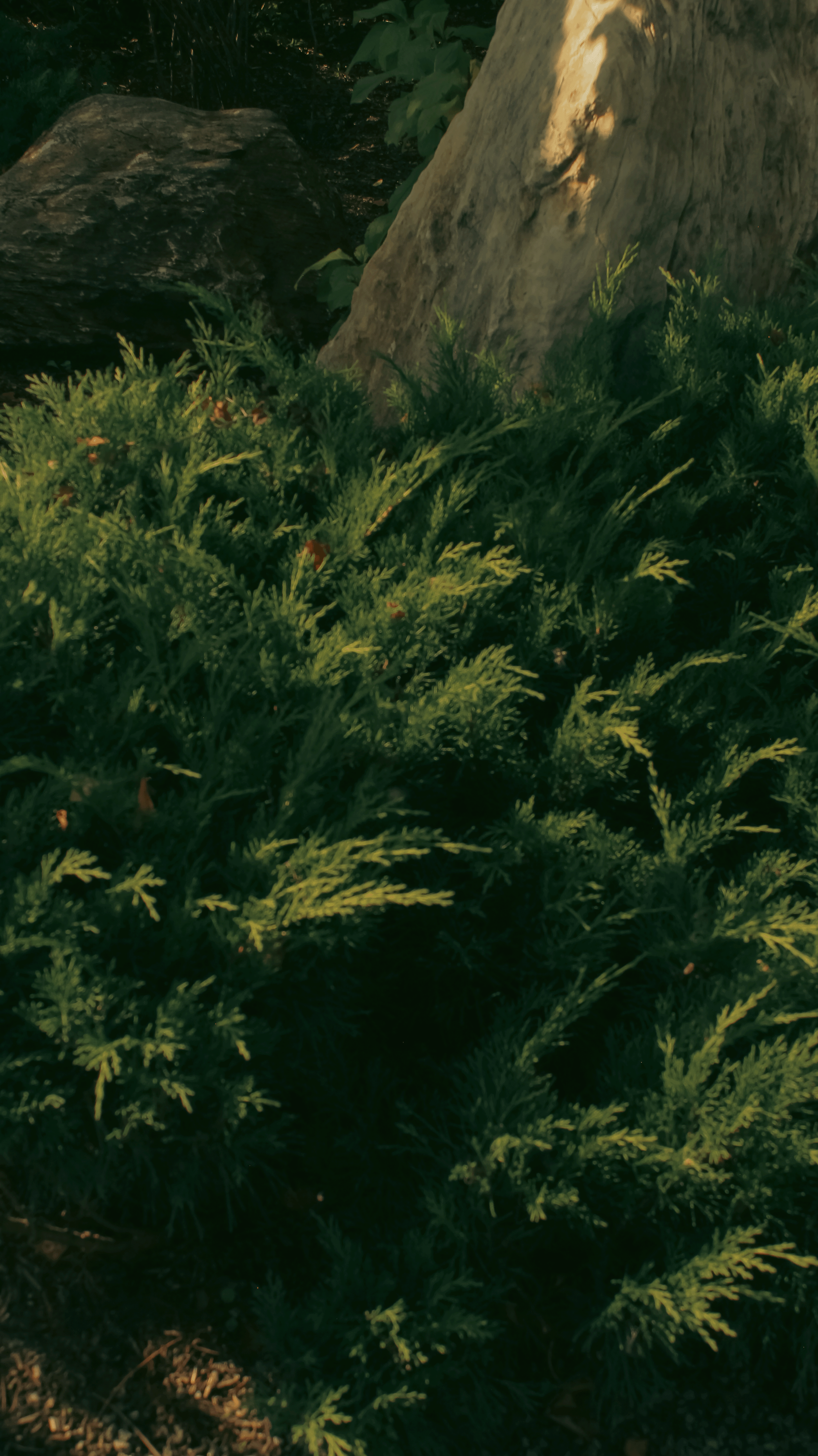 TMN ivapark '24. Фотограф/дизайнер в Екатеринбурге Хитрый Дмитрий