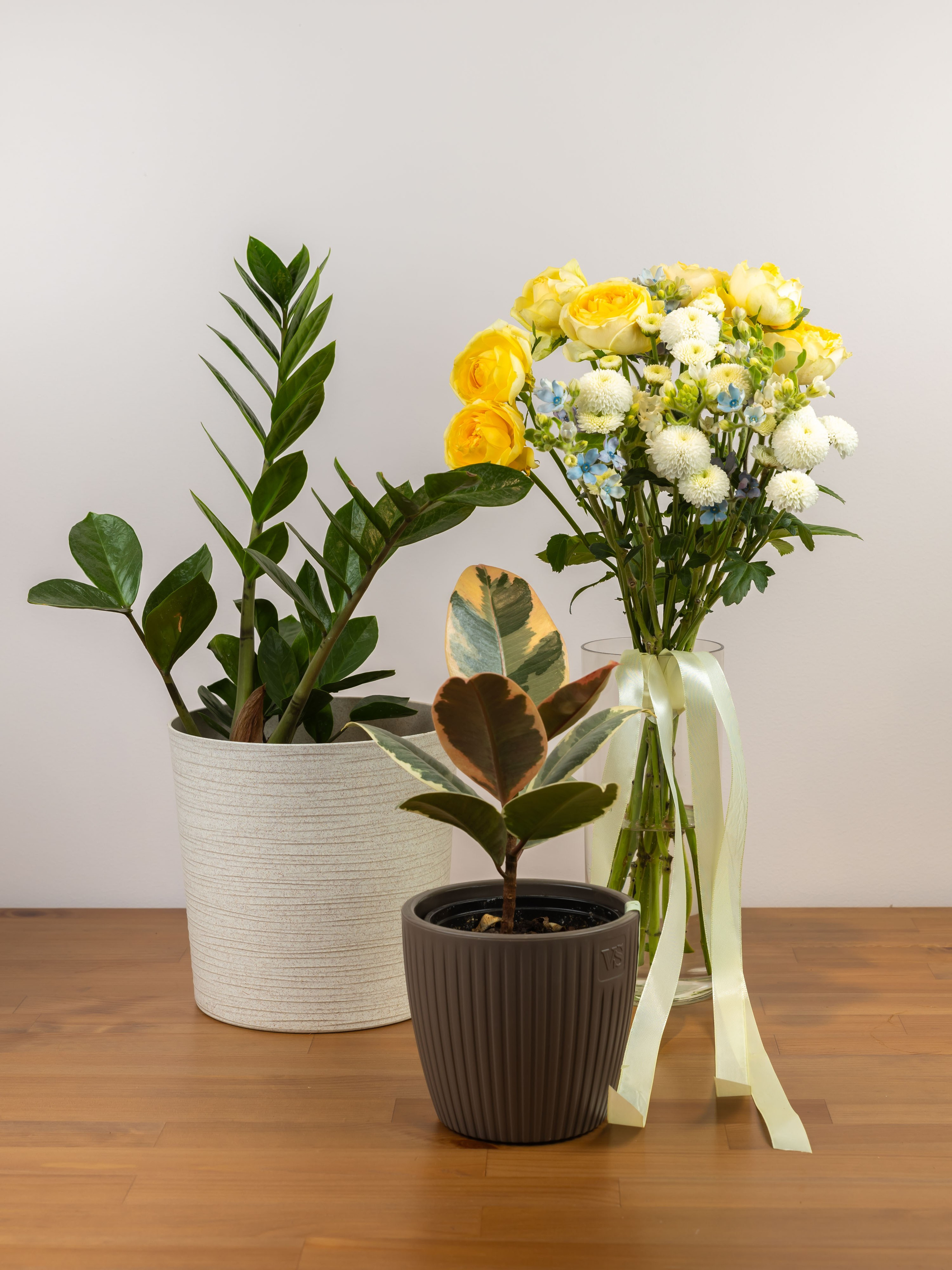 01.08.2025 Фотосессия Цветополис. ФОТОГРАФ ВИНОГРАДОВА ДАРЬЯ