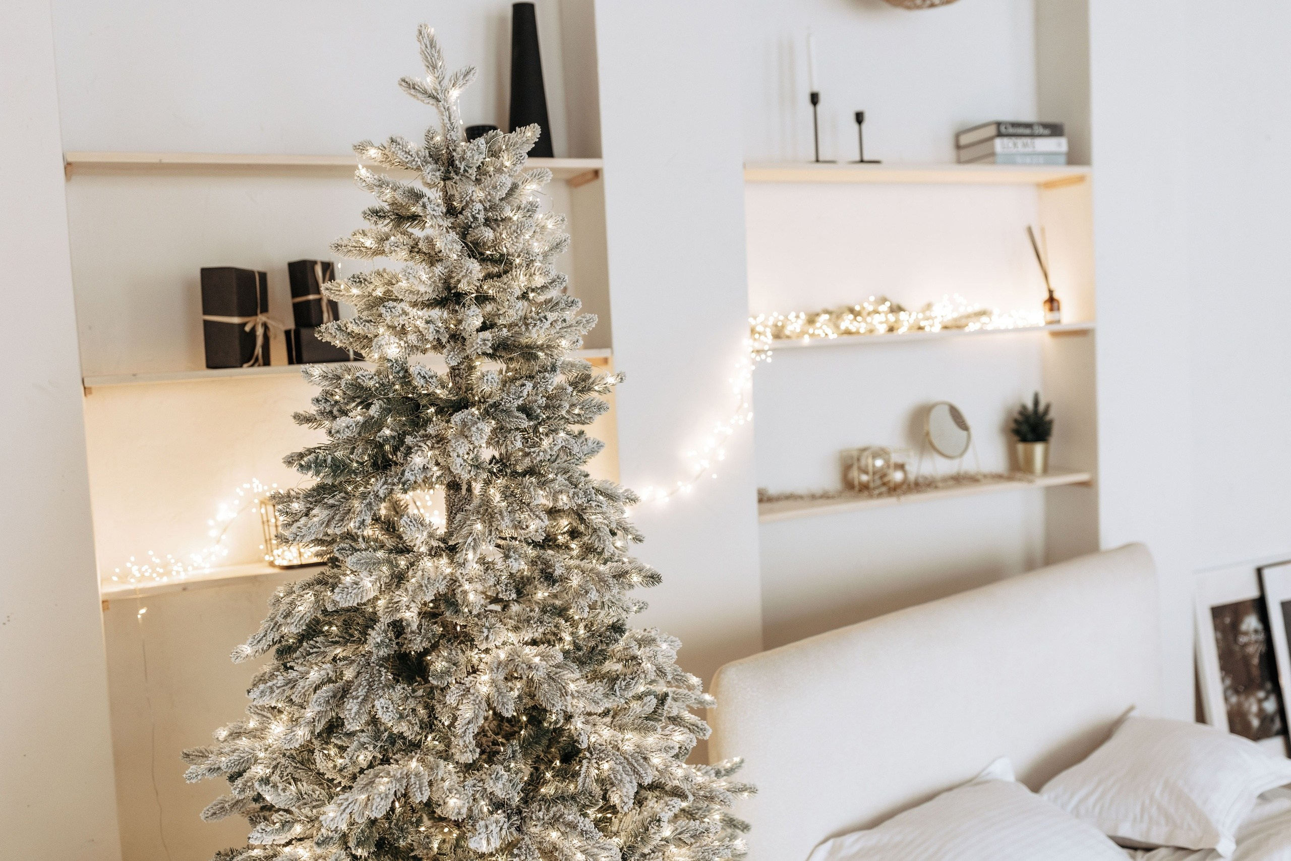 Зал Бали, фотостудия Истории, Красноярск. Классный фотограф Красноярска Васильева Ирина