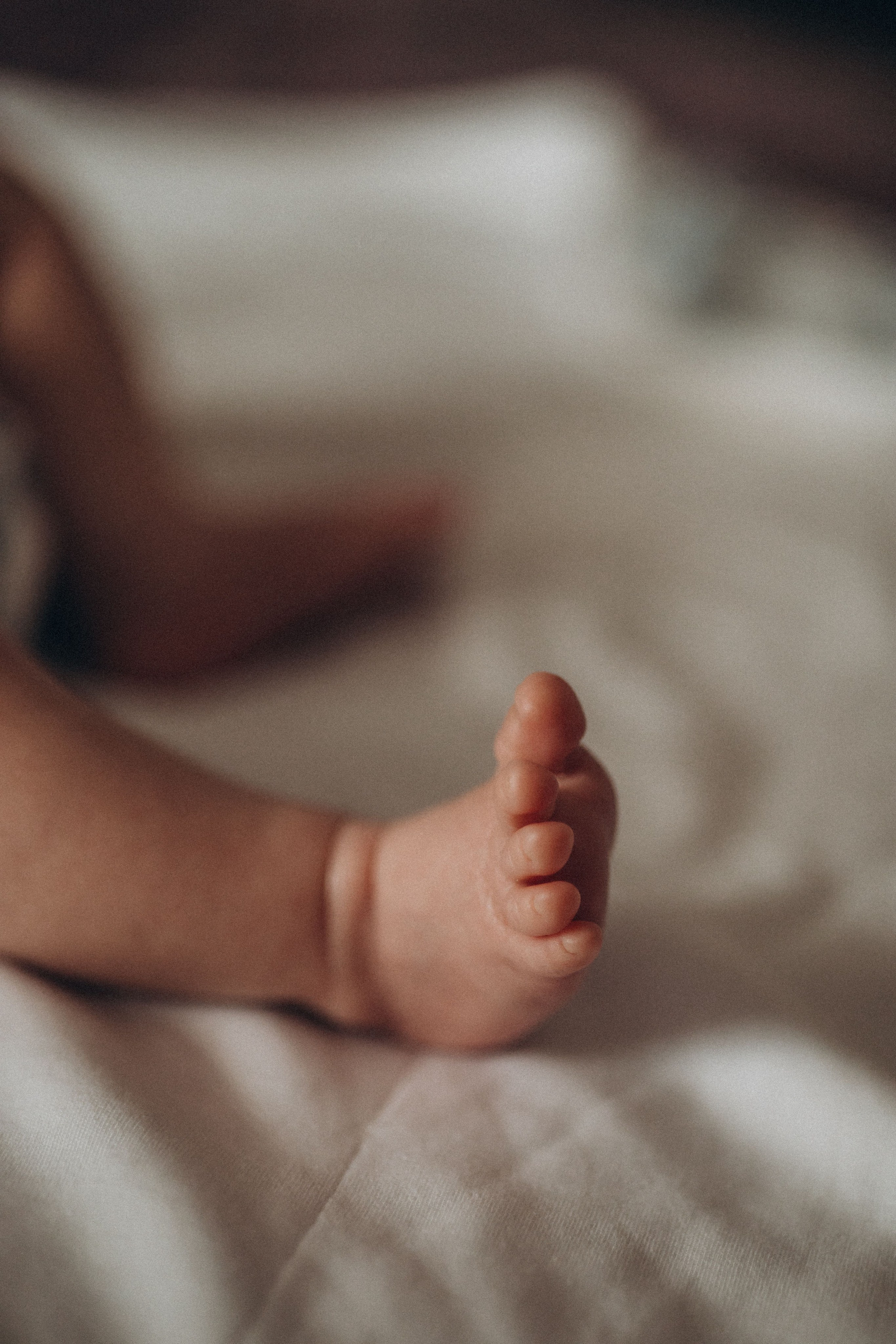 Антон Виктория Святослав. Семейный фотограф Нижневартовск Тюмень Ефимова Ирина