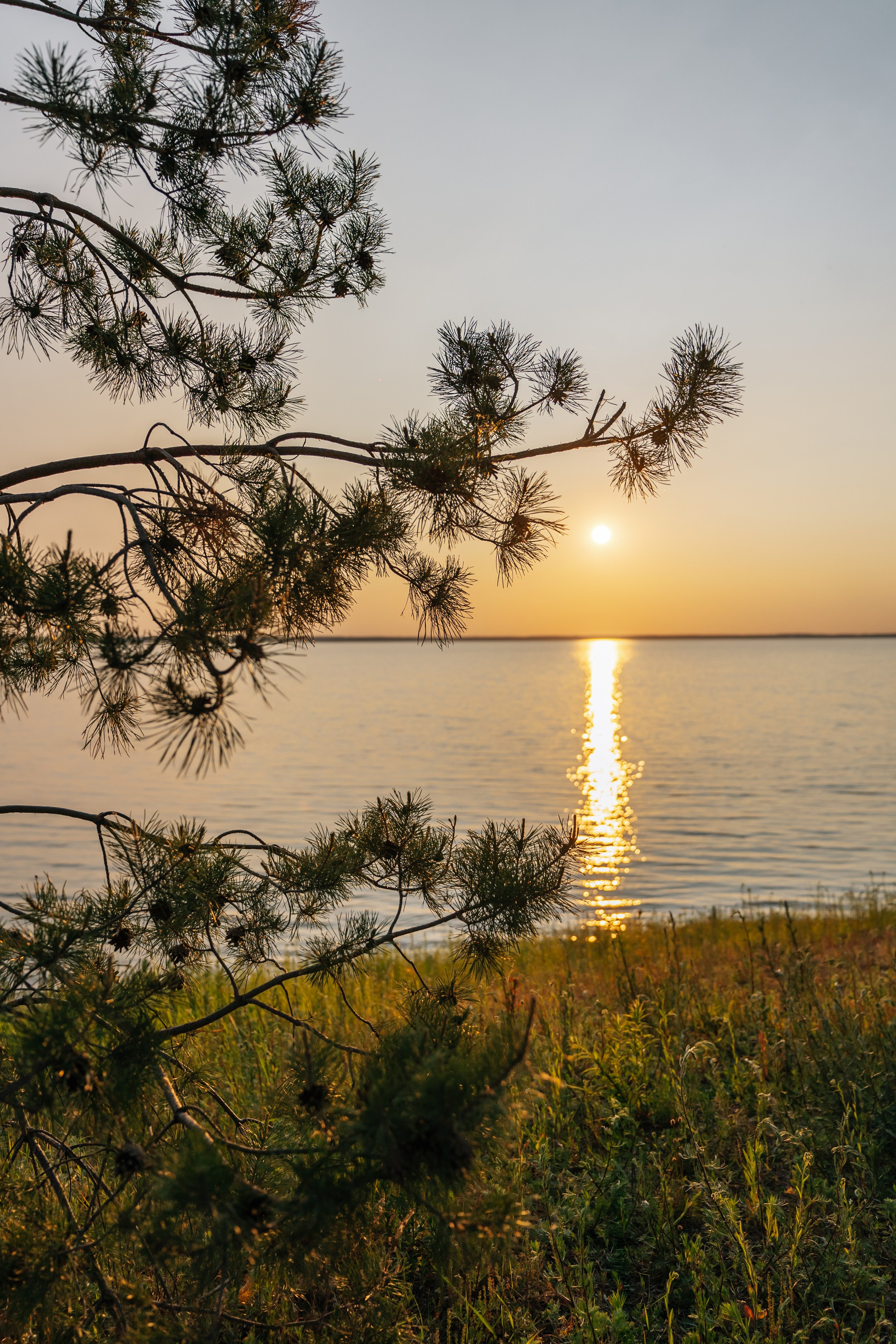Рита и Сергей. Свадебный и семейный фотограф Кокушева Юлия Нижний Новгород