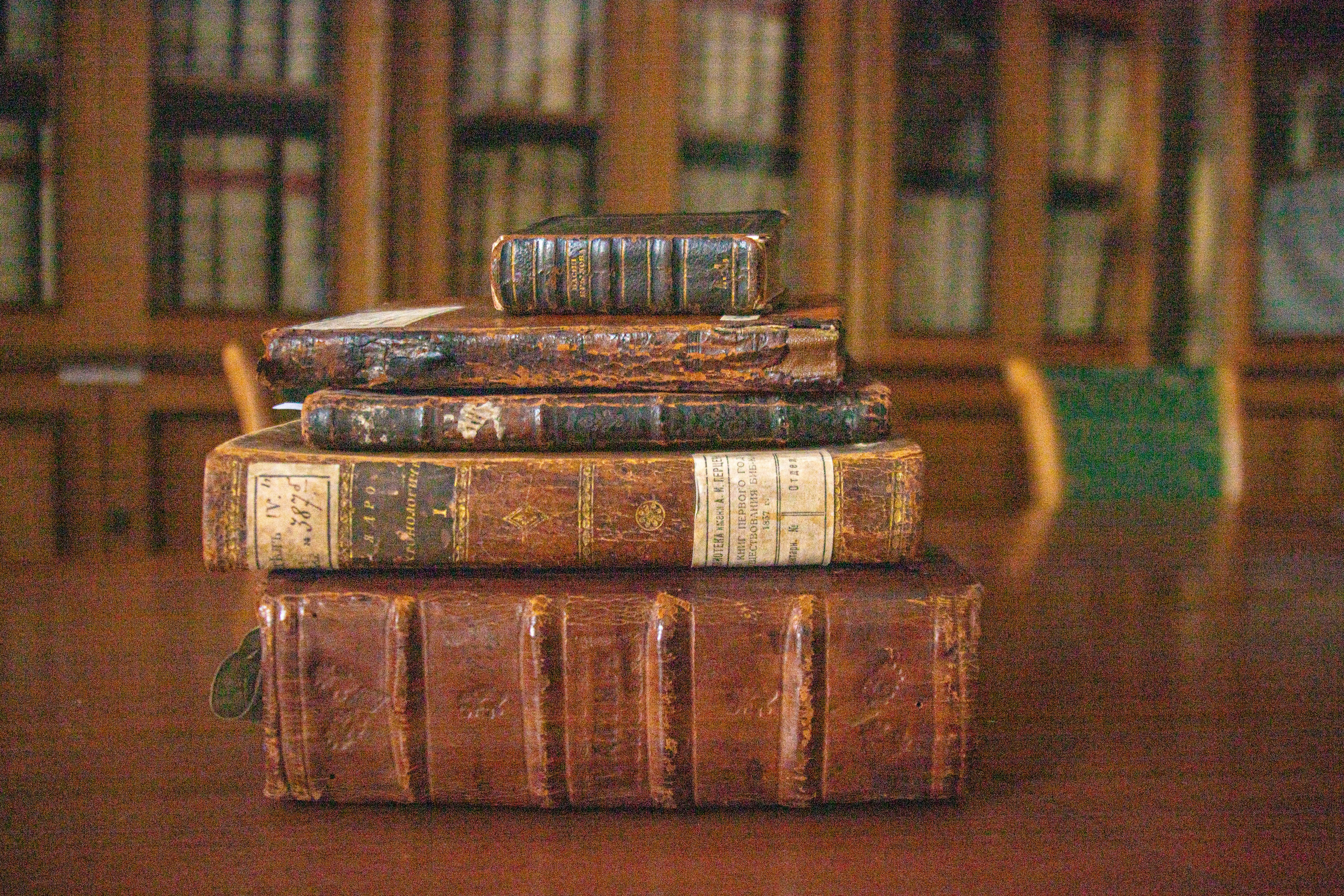Старые и ценные книги Киров библиотека имени Герцена, кабинет А. И. Герцена. Репортажный, интерьерный, семейный, детский фотограф-путешественник Германия Шварцвальд Филлинген Швенинген Москва и Киров Светлана Русских