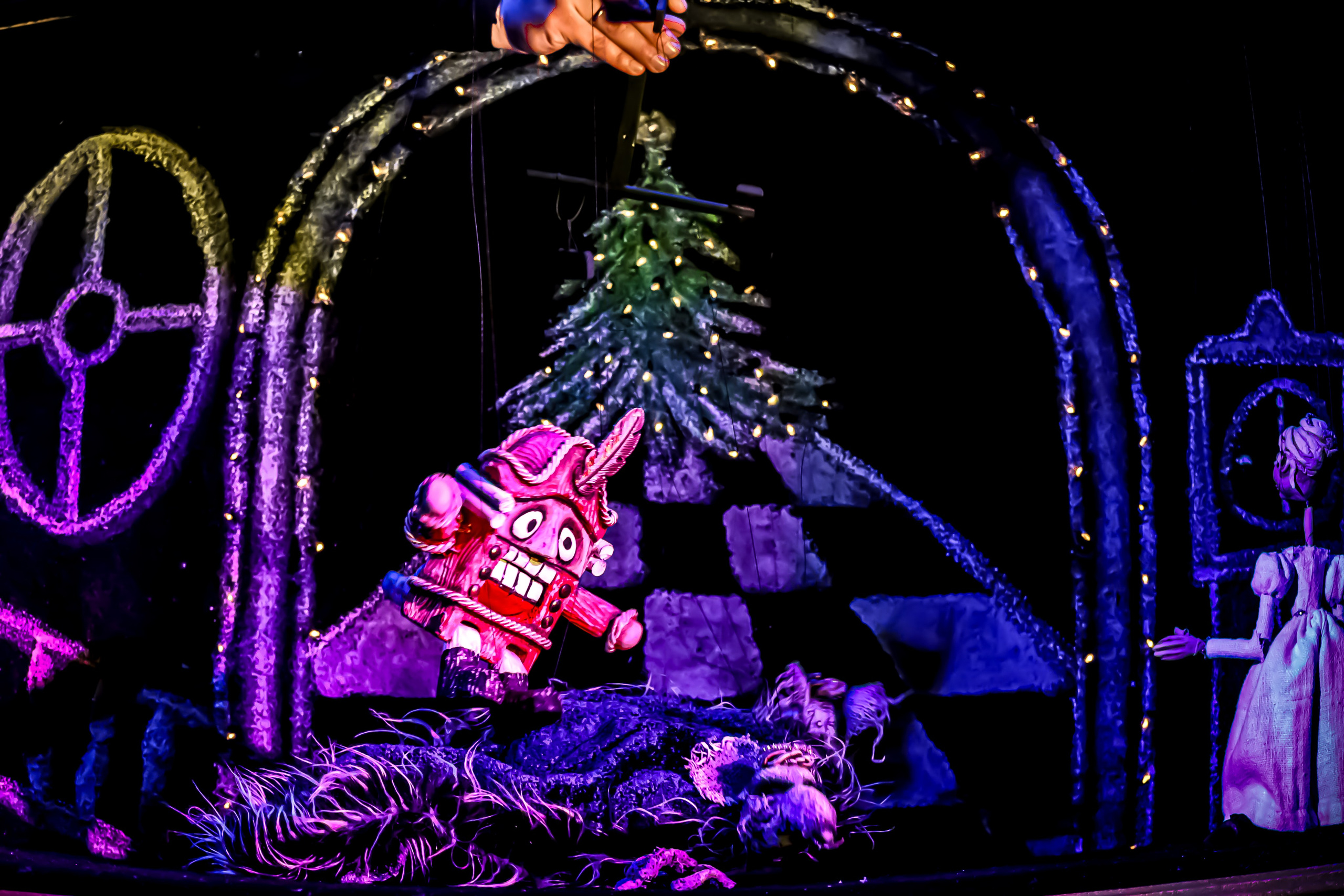 Щелкунчик и мышынный король. Фотограф в Сочи Юрий Шептаев