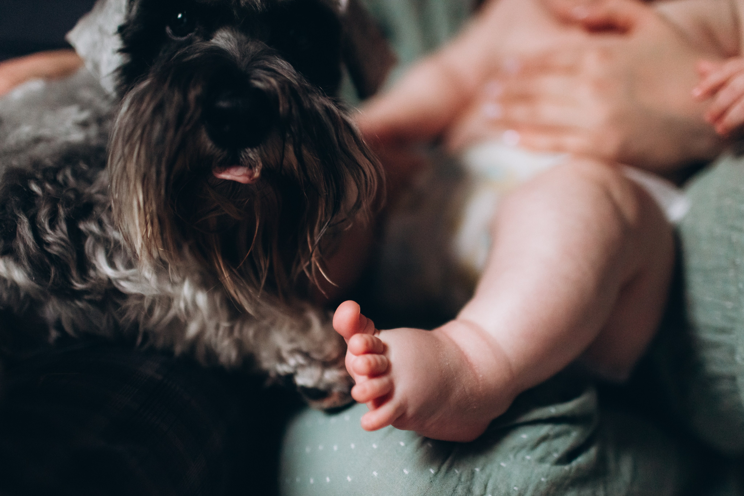 Первая осень вчетвером. Семейный фотограф в Санкт-Петербурге — Лена Тимина