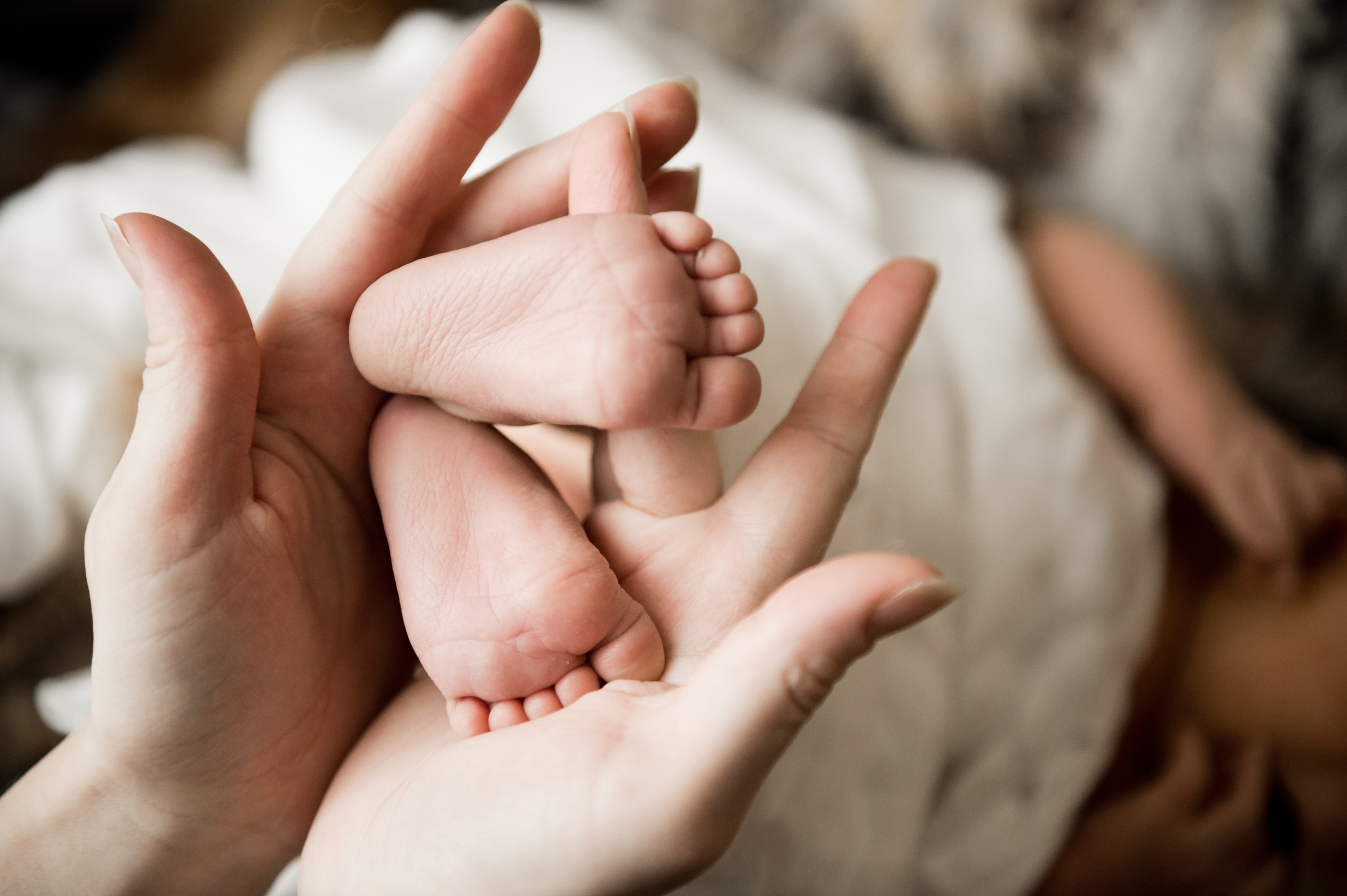 Антон, Владлена +2 :). Фотограф Егоров Констанин