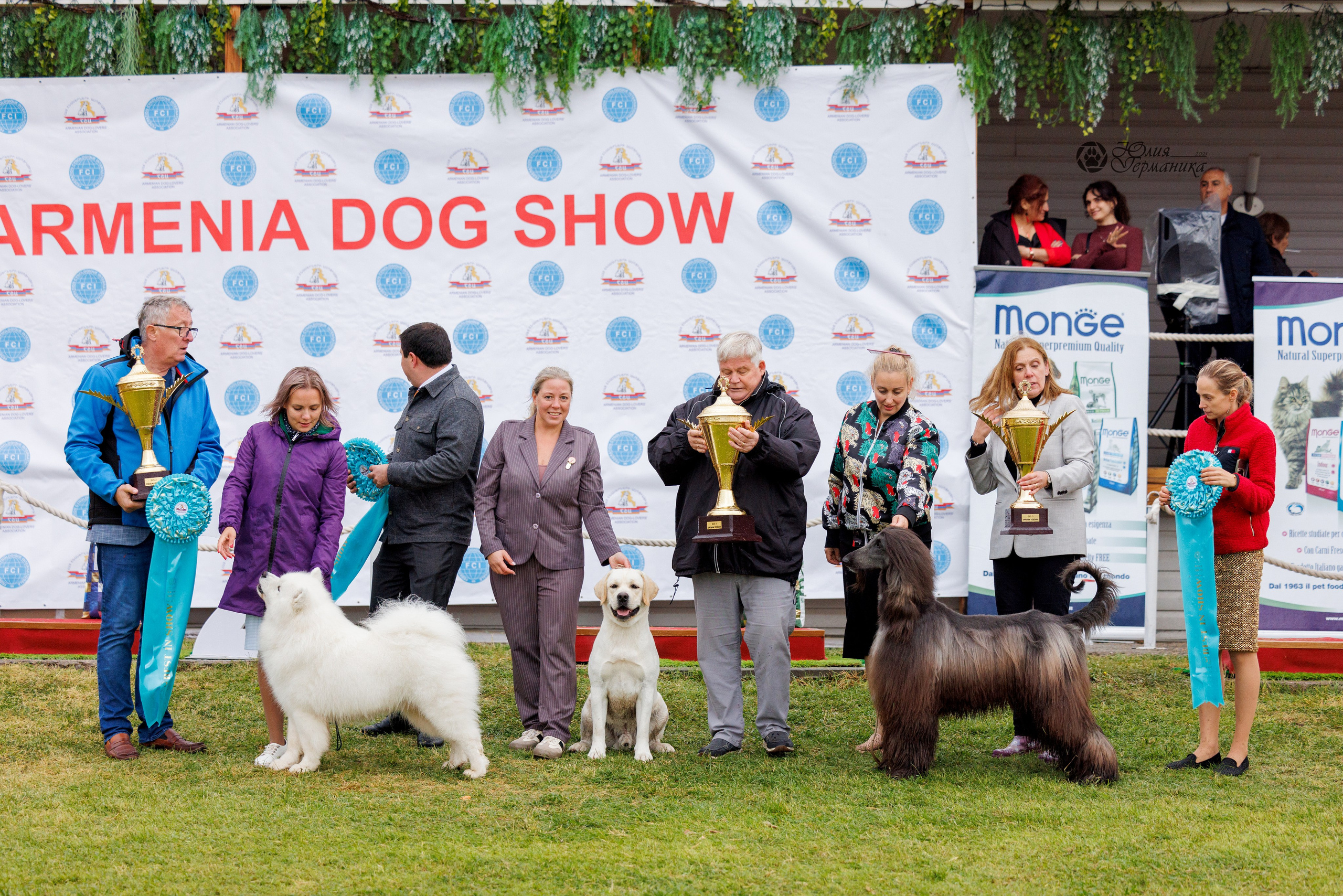 Туция,Стамбул 2хCACIB 26-27.10.24. Фотограф-анималист Юлия Германика