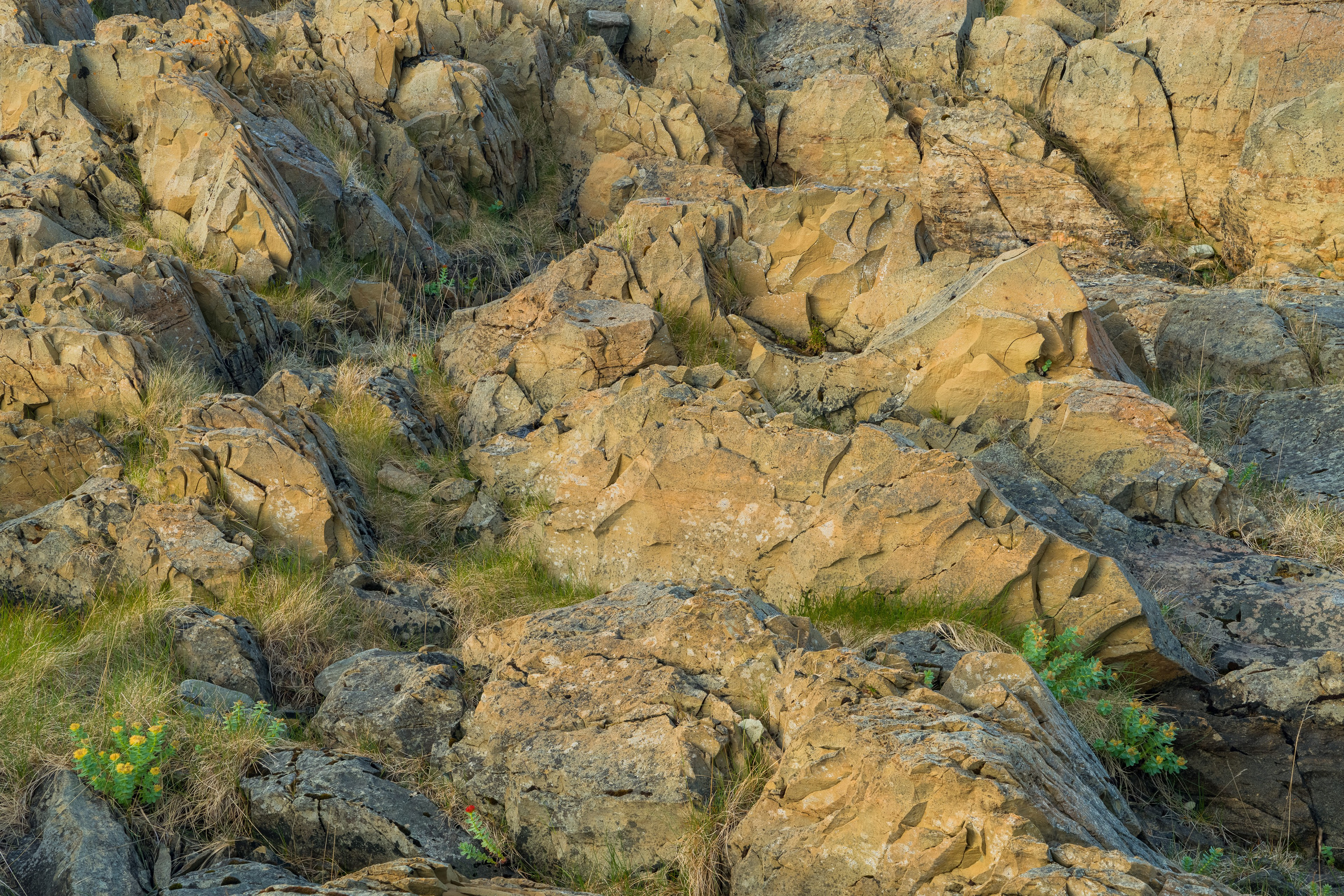 Варангер. Северные Ночи