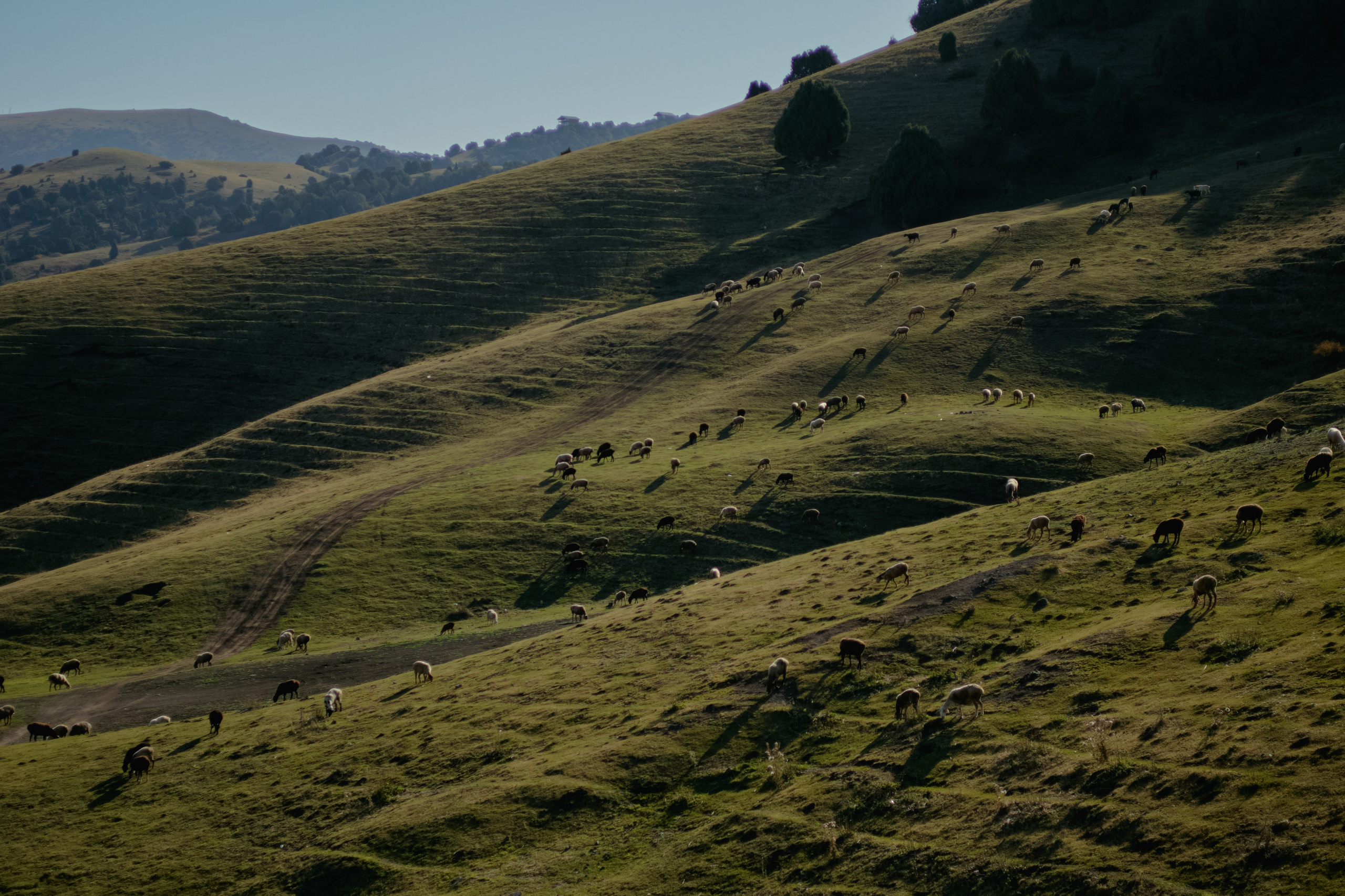 Кыргызтан. Профессиональный Фотограф во Владимире, в Москве и в Суздале — Полина Романычева