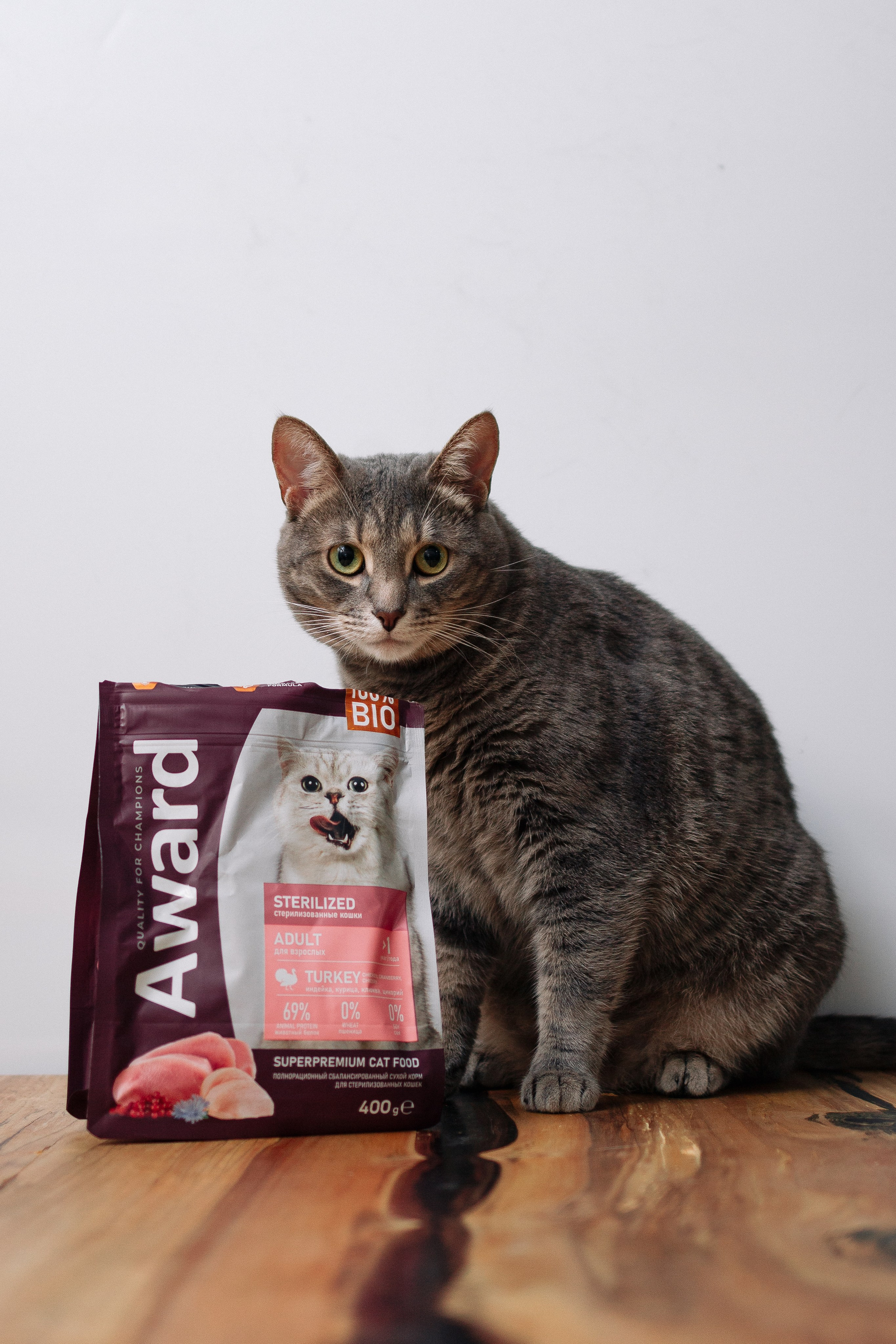 Благотворительная съемка животных. Предметный фотограф в Москве Дарья Радькович