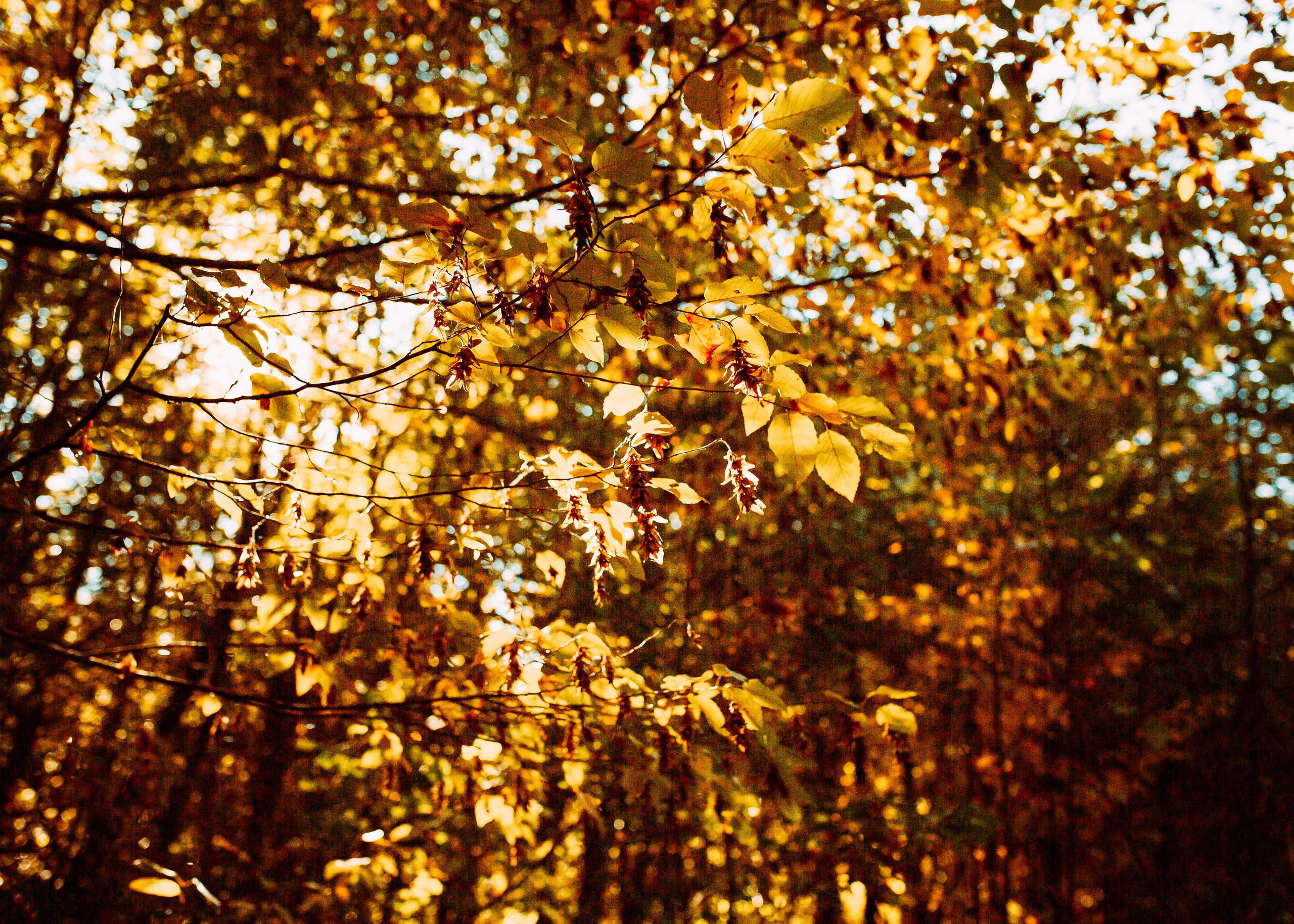 Никита и Оля. Фотограф в Приморско-Ахтарске Марьяна Чопко
