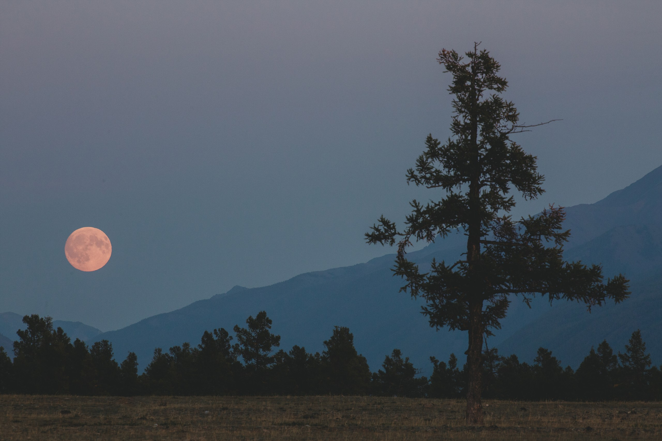 Алтай. Фотограф в Красноярске Нерозя Александр. Пейзаж, природа, портрет
