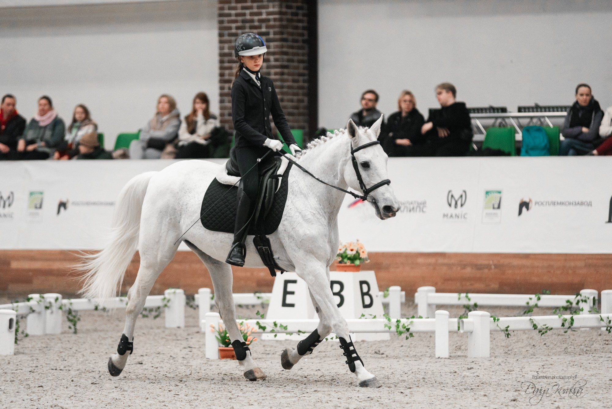 8-я международная выставка Конная Россия. Конный фотограф Куракина Дарья • Фотосессии с лошадьми
