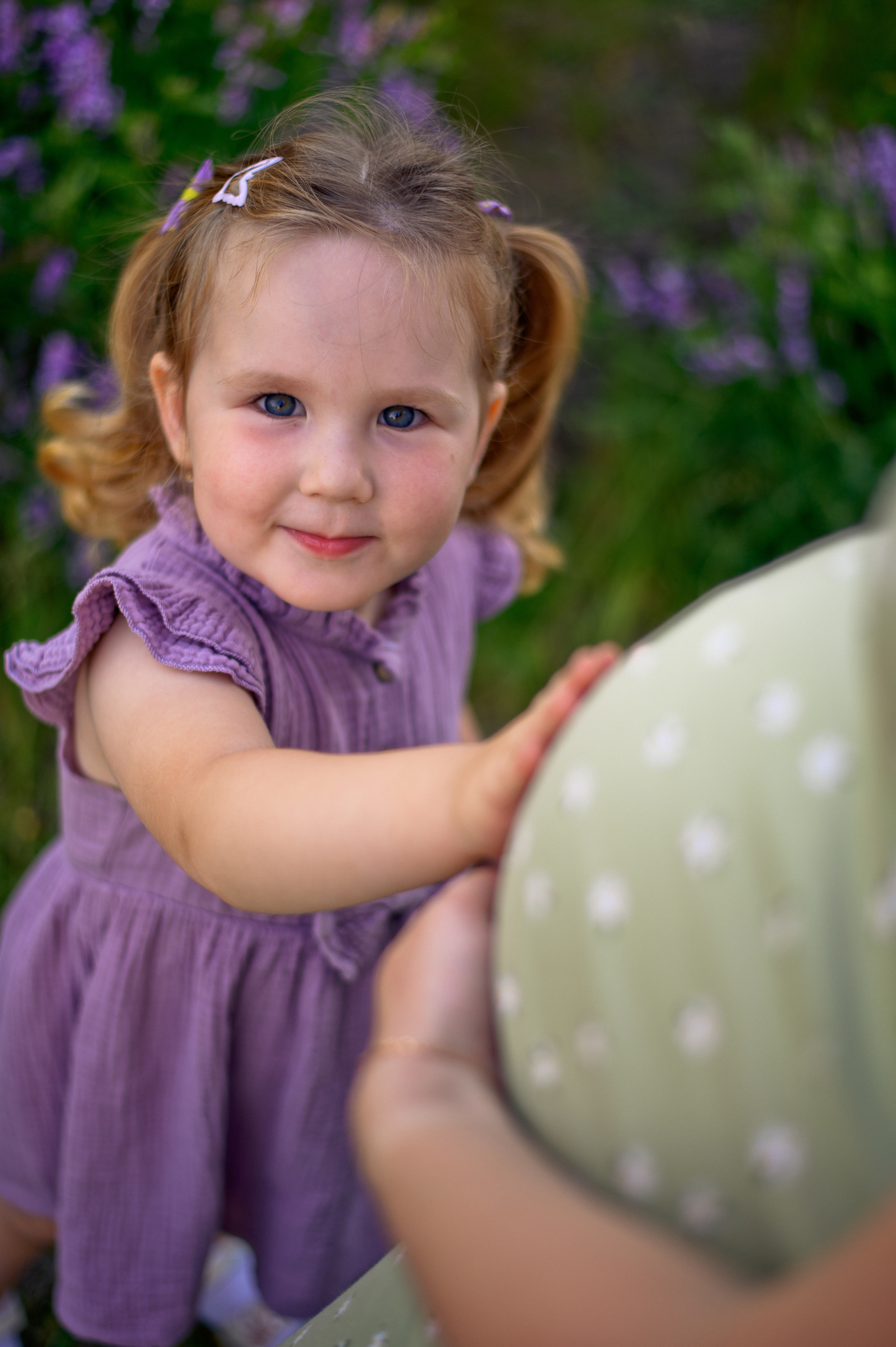 Люпиновое лето. Фотограф в Севастополе — Ольга Максименко