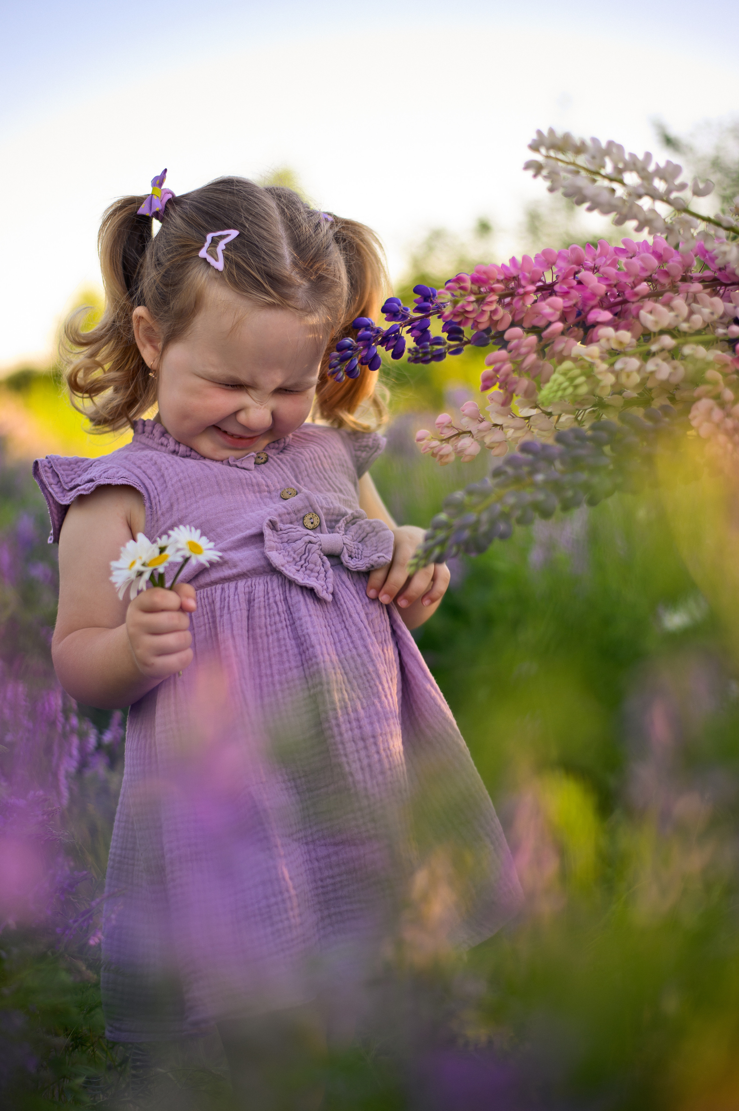 Люпиновое лето. Фотограф в Севастополе — Ольга Максименко
