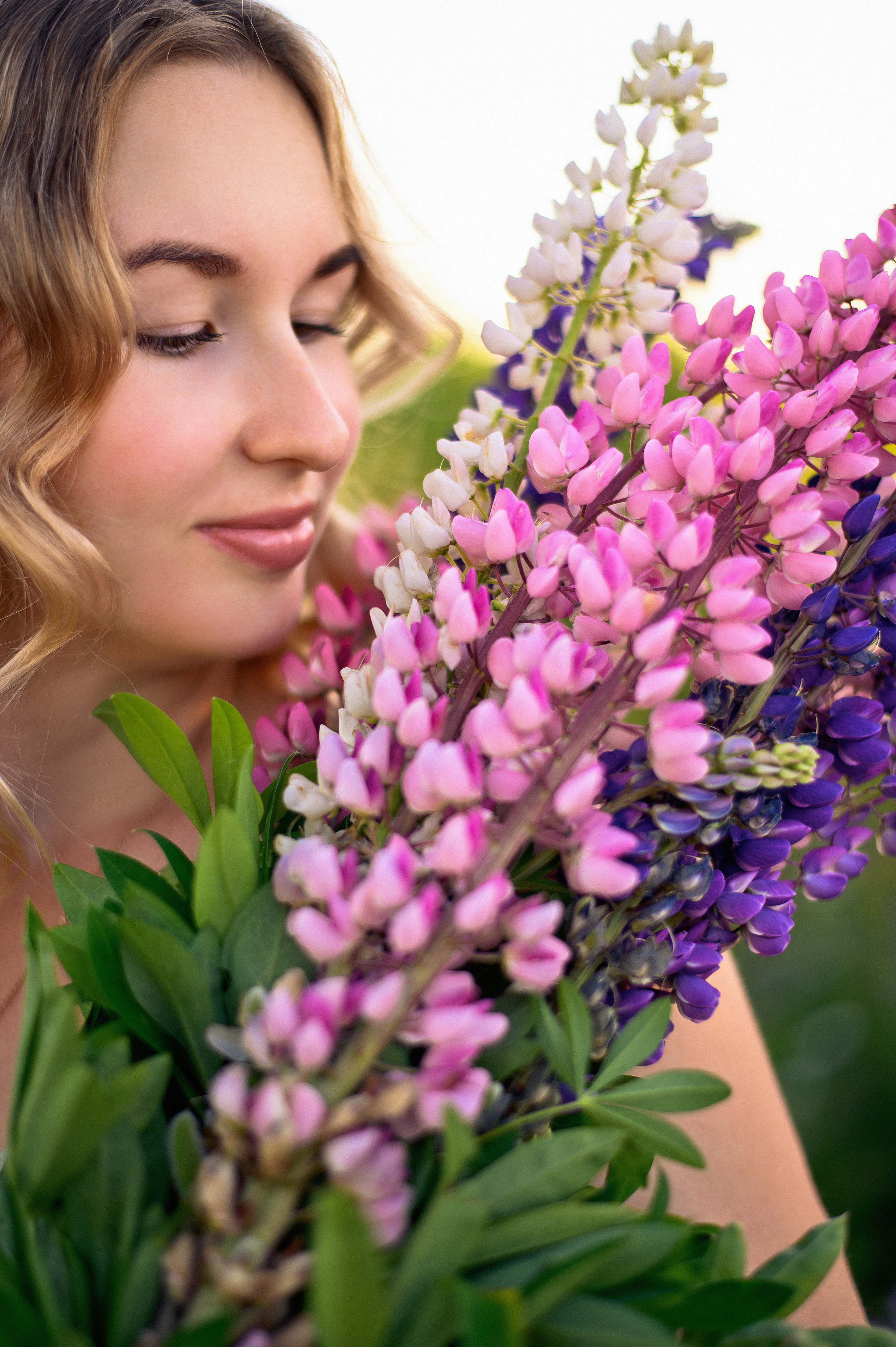 Люпиновое лето. Фотограф в Севастополе — Ольга Максименко
