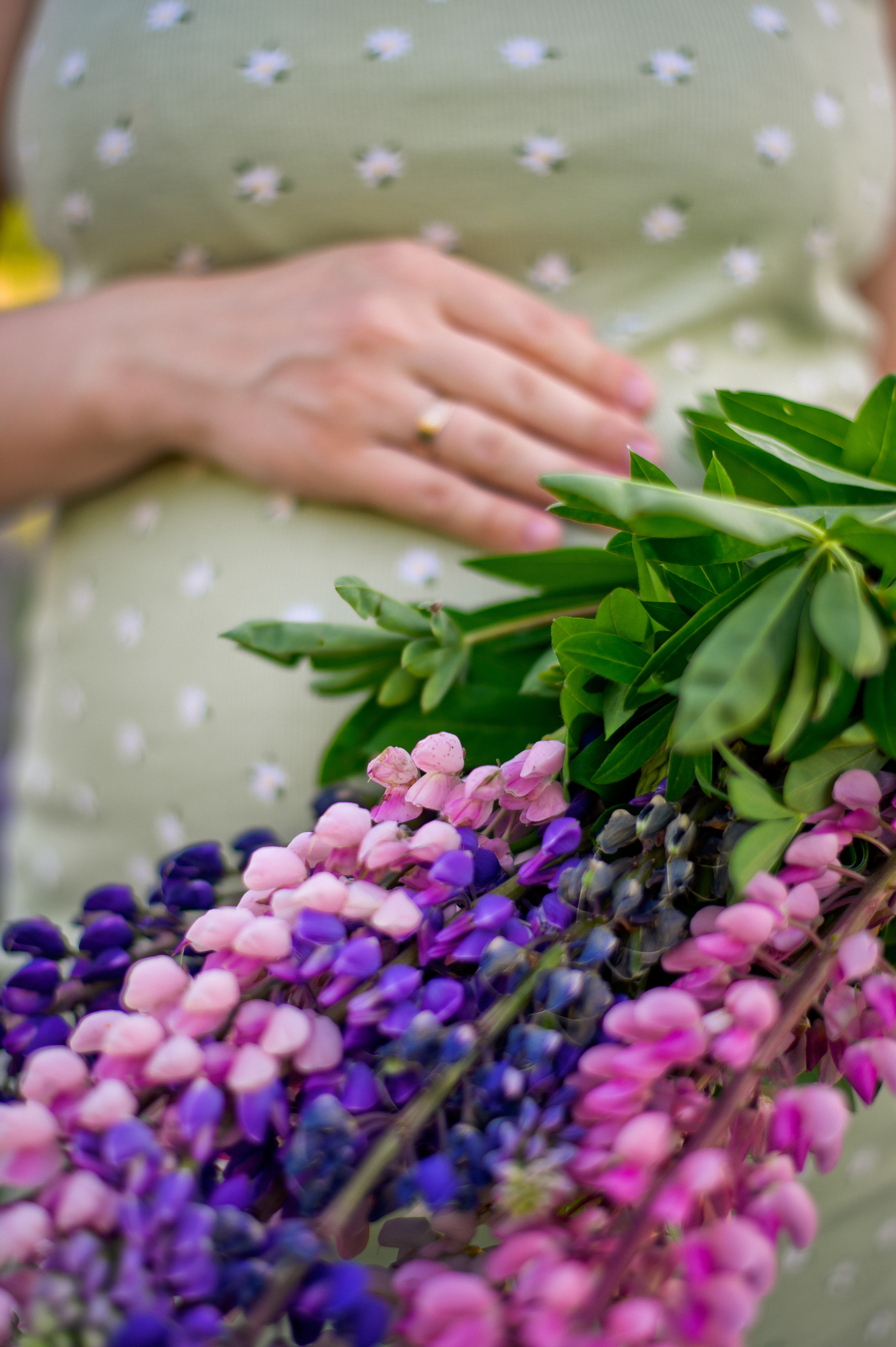 Люпиновое лето. Фотограф в Севастополе — Ольга Максименко