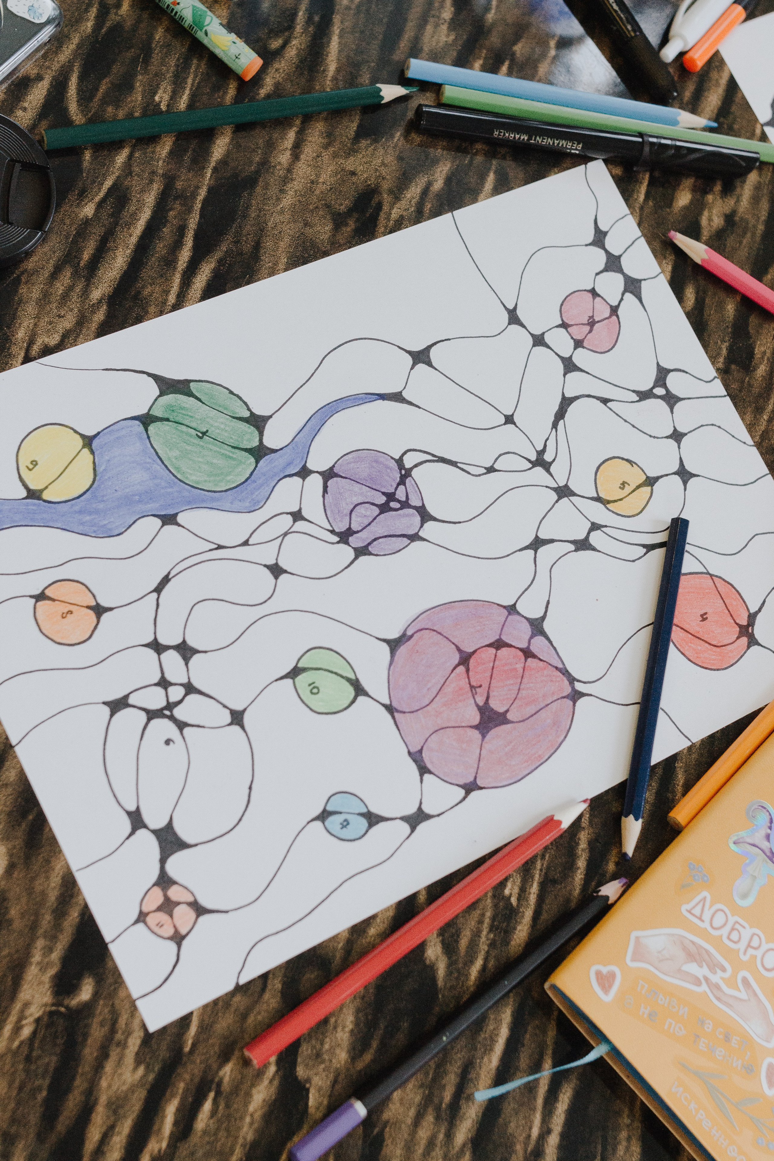 Ретрит на Байкале / Школа Ведических знаний SoVA / 7 дней, 2023. Борщевская Елизавета / фотограф Иркутск