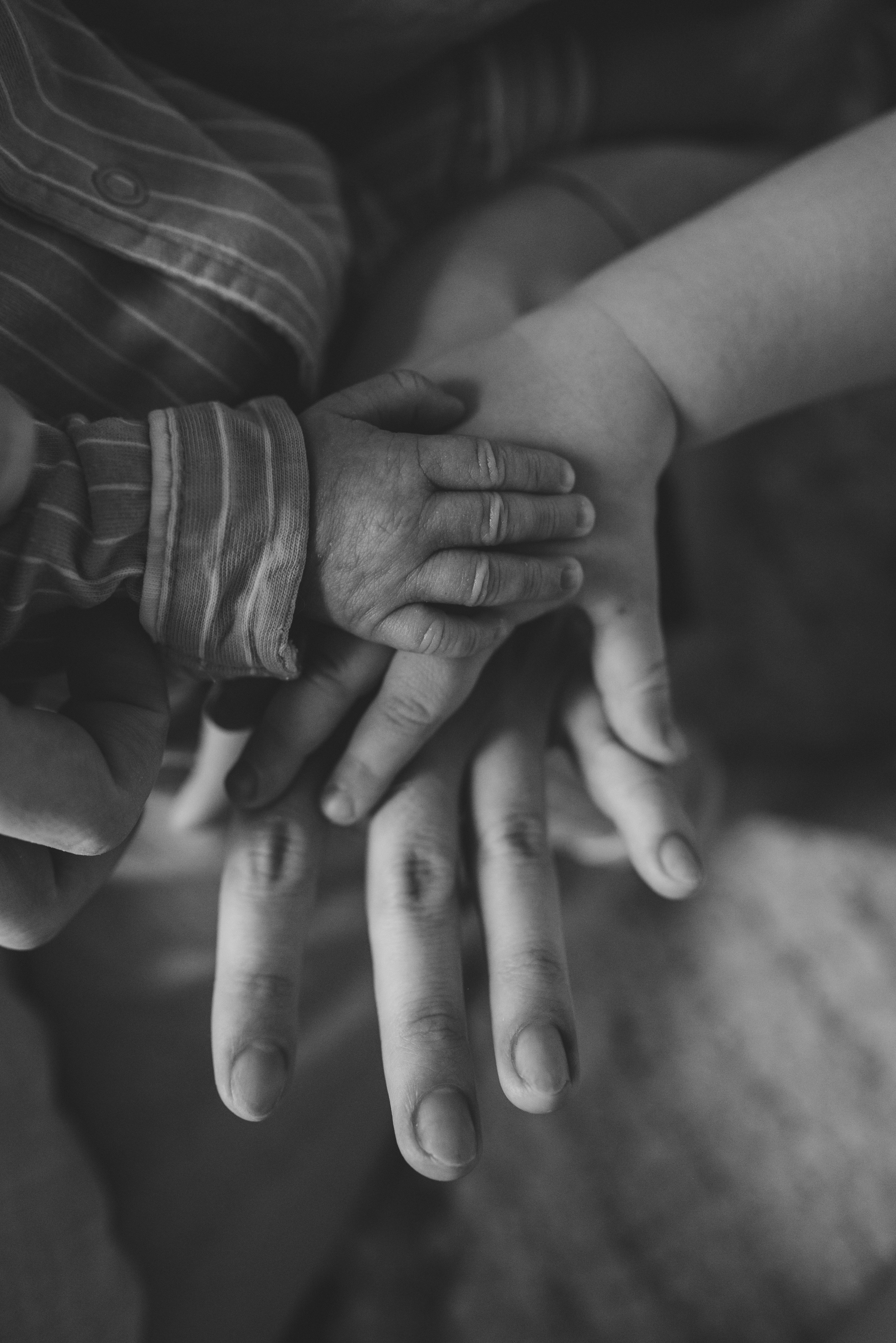 Новорожденные и Материнство. Семейный фотограф в Москве Дарья Пузикова