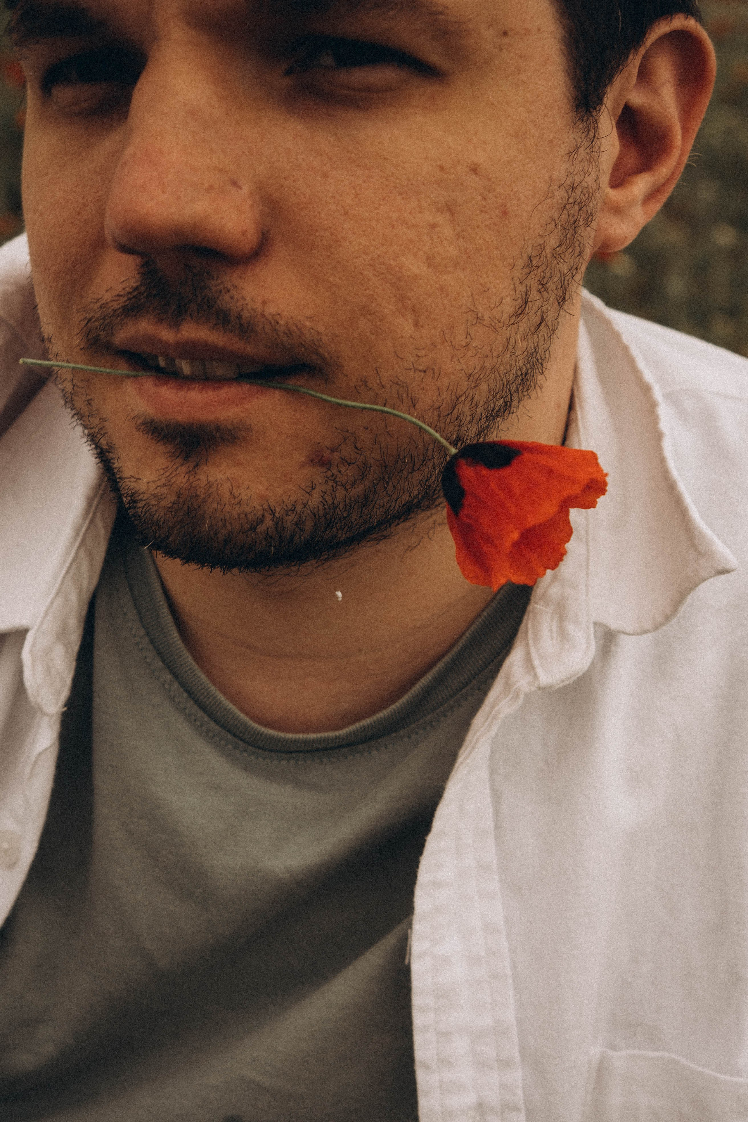 Маки. Профессиональный фотограф, Санкт-Петербург — Виктория Богомолова