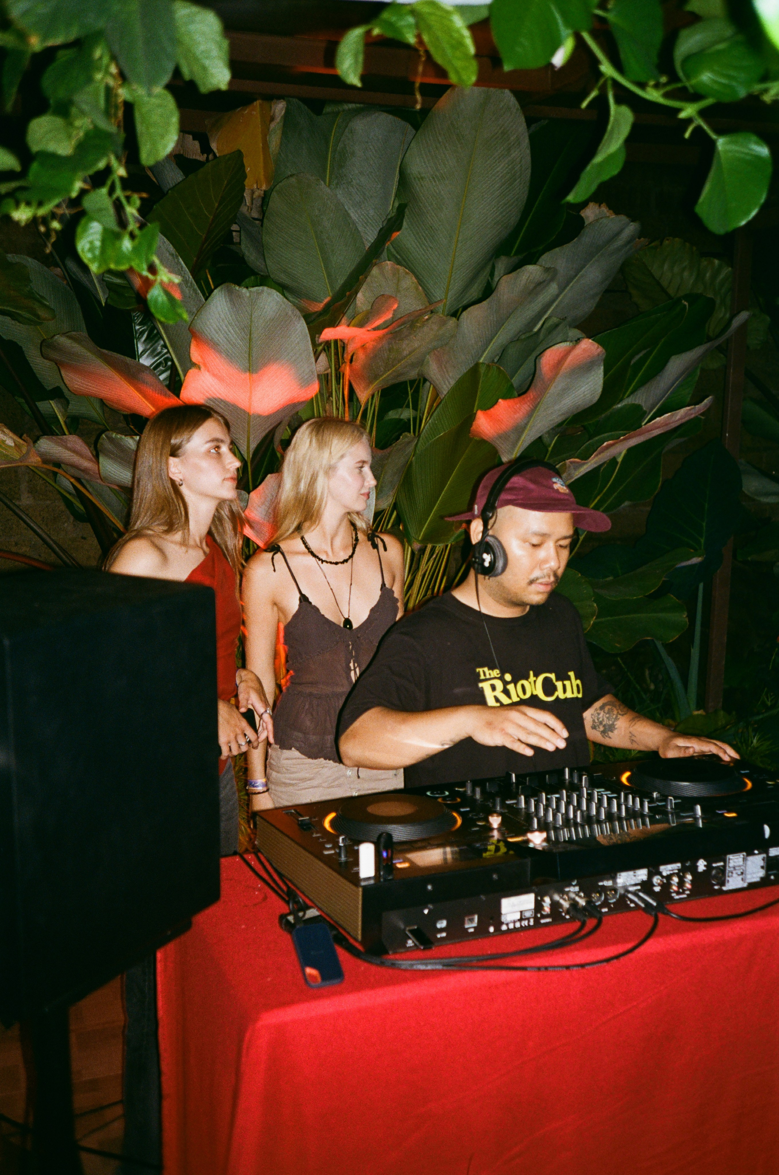 Radiocultura bali on film. Главная