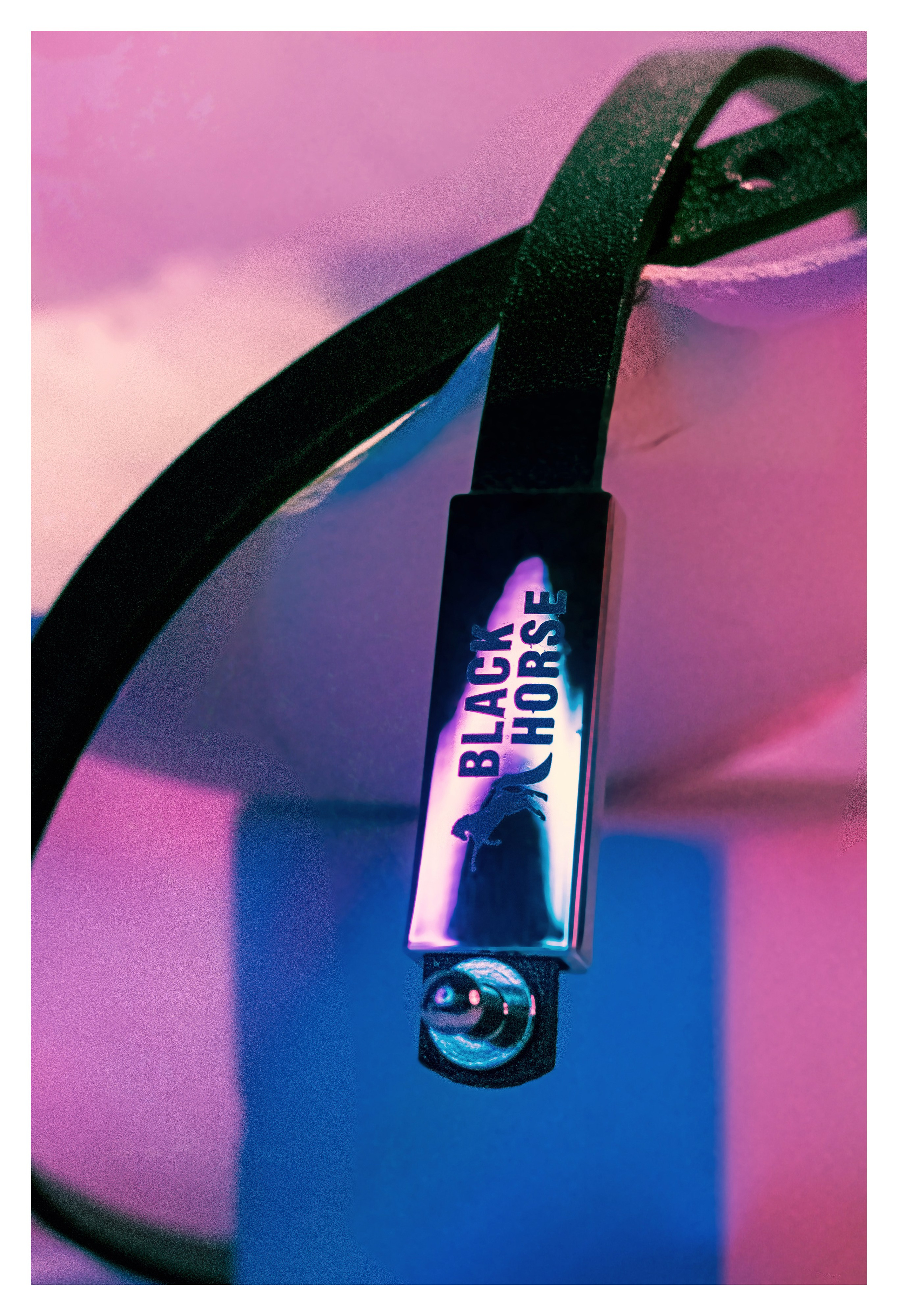 Black horse. Фотограф Алина Малина