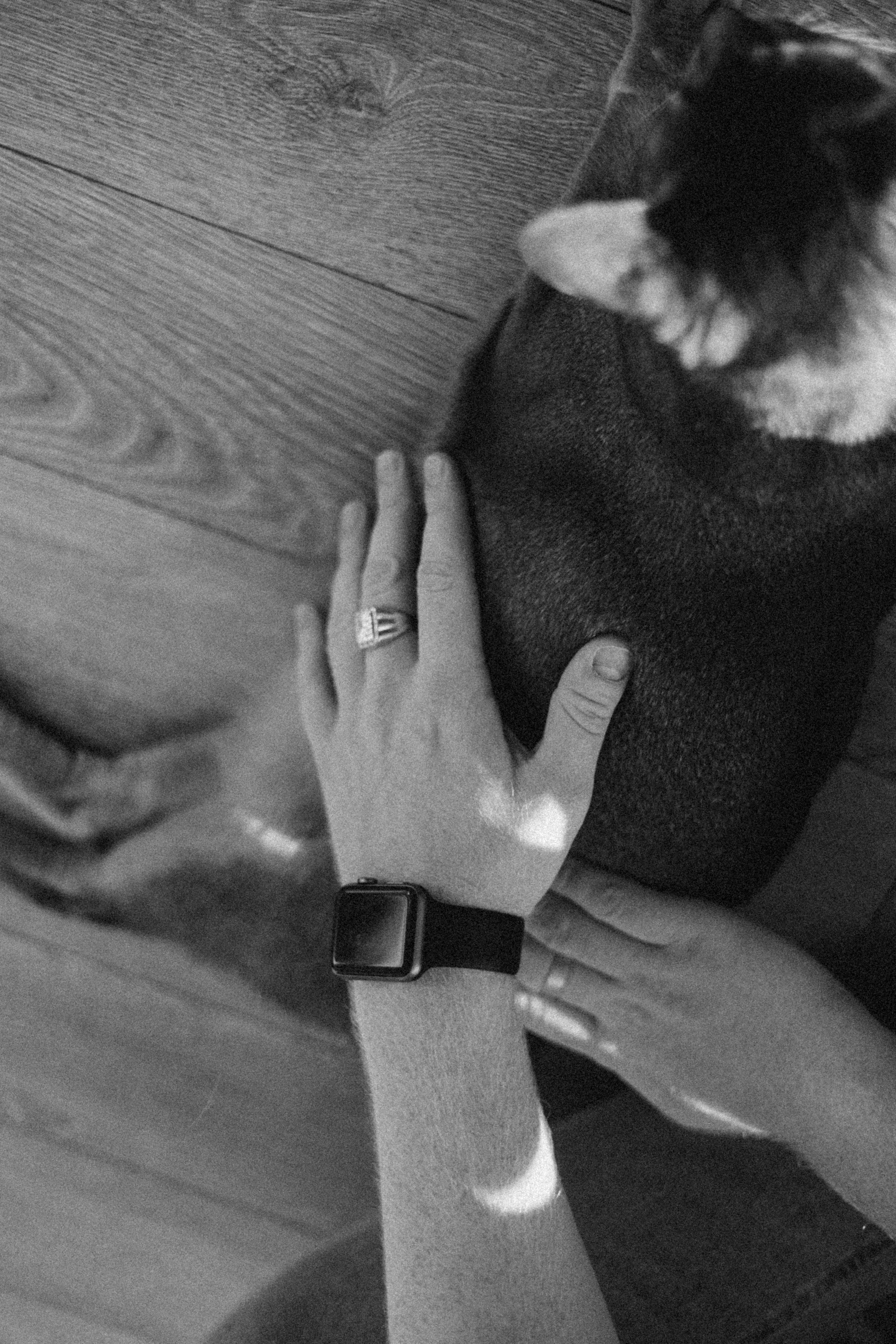 Циско и его семья. Фотограф — Анималист | Санкт-Петербург