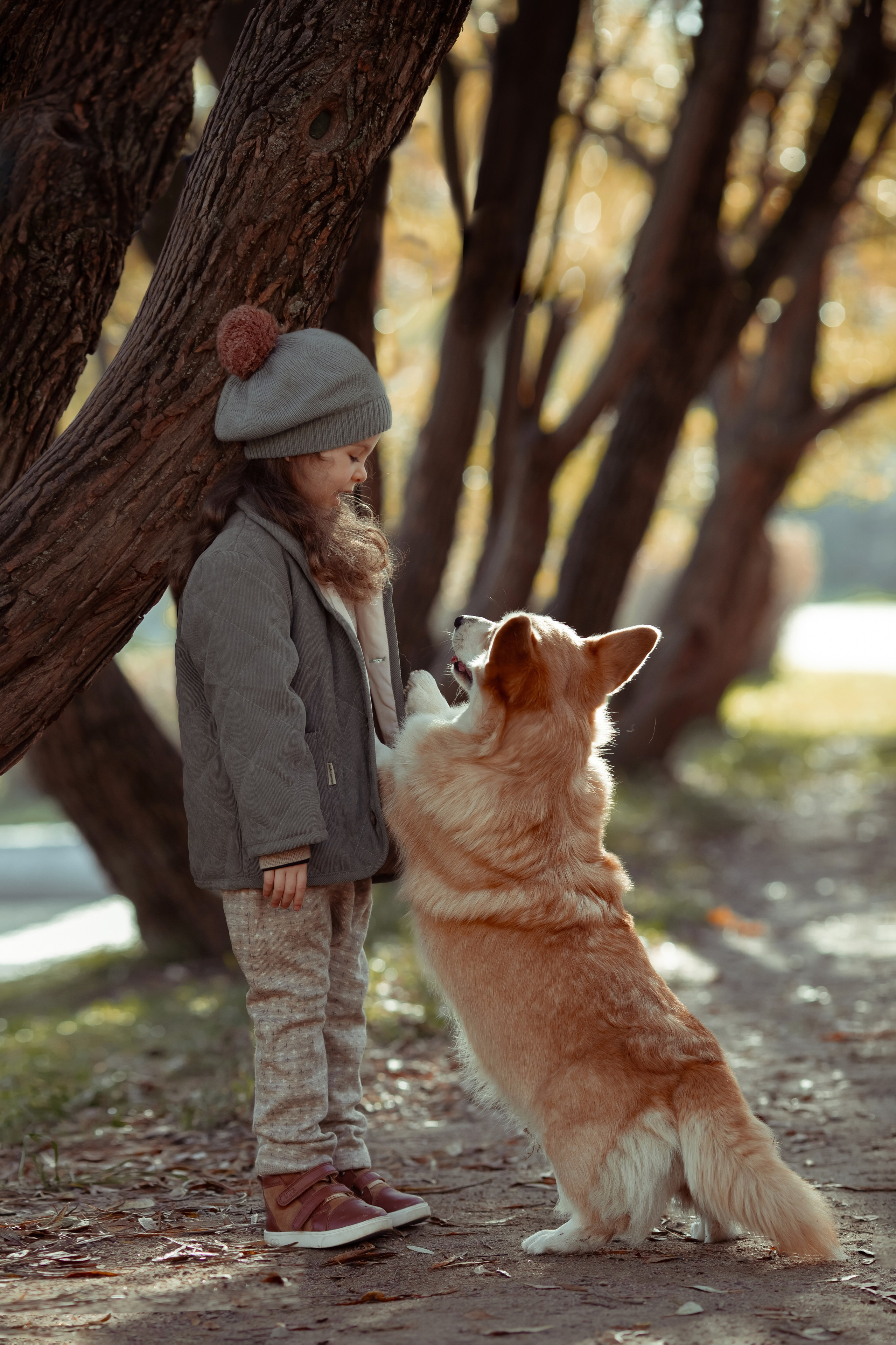 Эва с корги. Семейный и детский фотограф в Москве Дорогова Екатерина