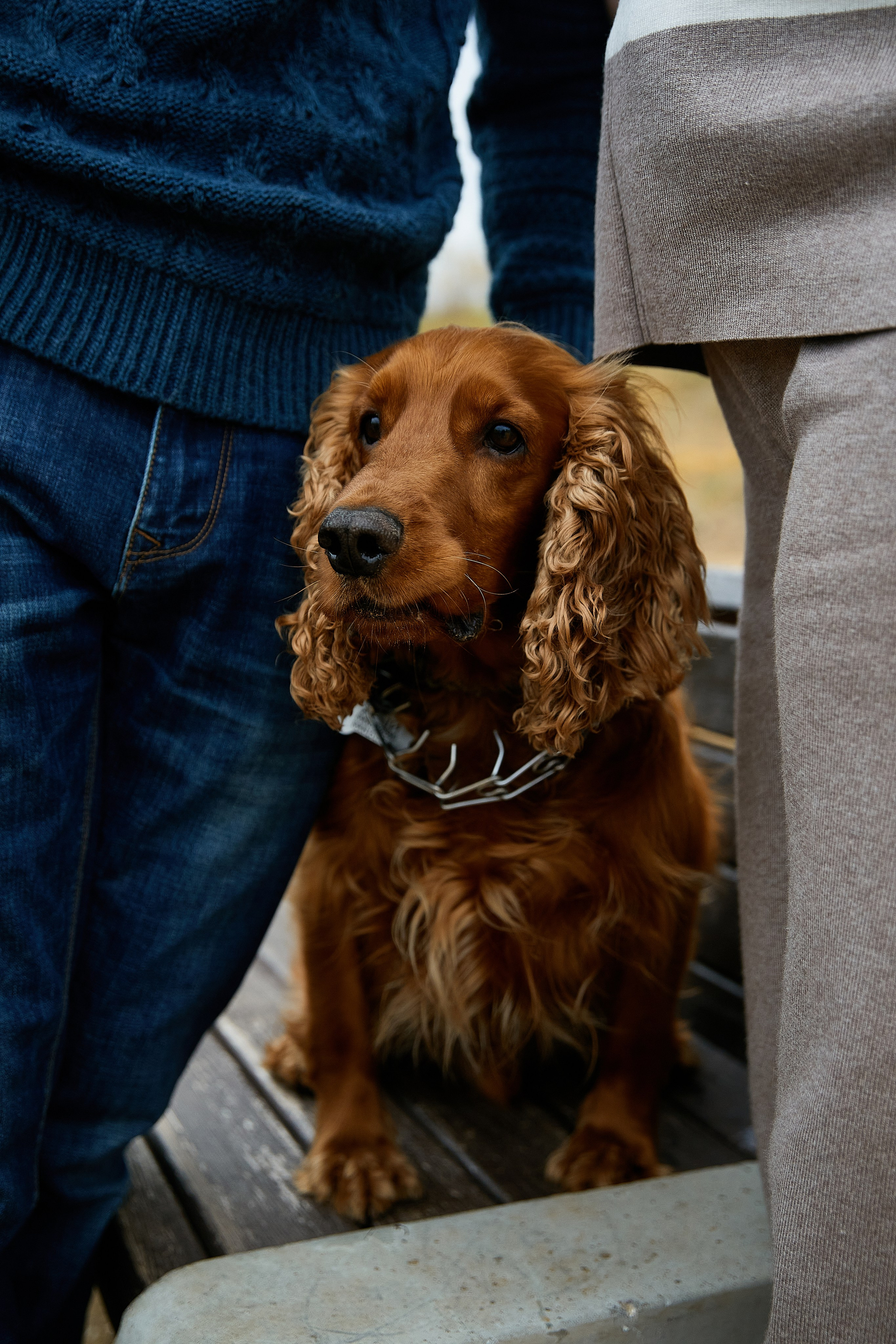 Оля и Костя. Татьяна Бабаева — Фотограф