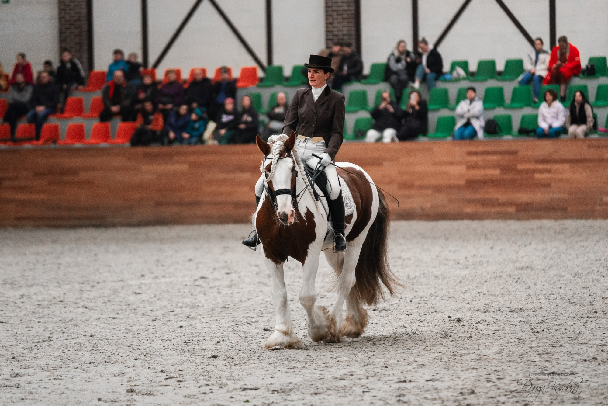 8-я международная выставка Конная Россия. Конный фотограф Куракина Дарья • Фотосессии с лошадьми