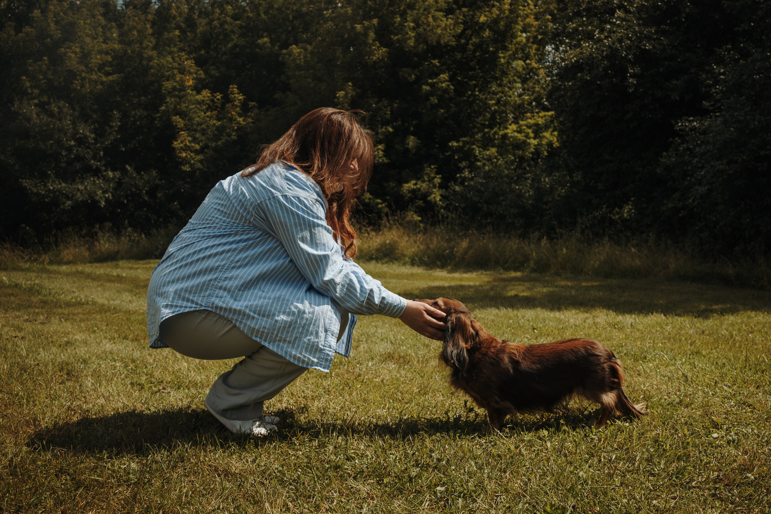 Семейная фотосессия с собаками в парке. Фотограф-анималист в Москве Екатерина Тихонова