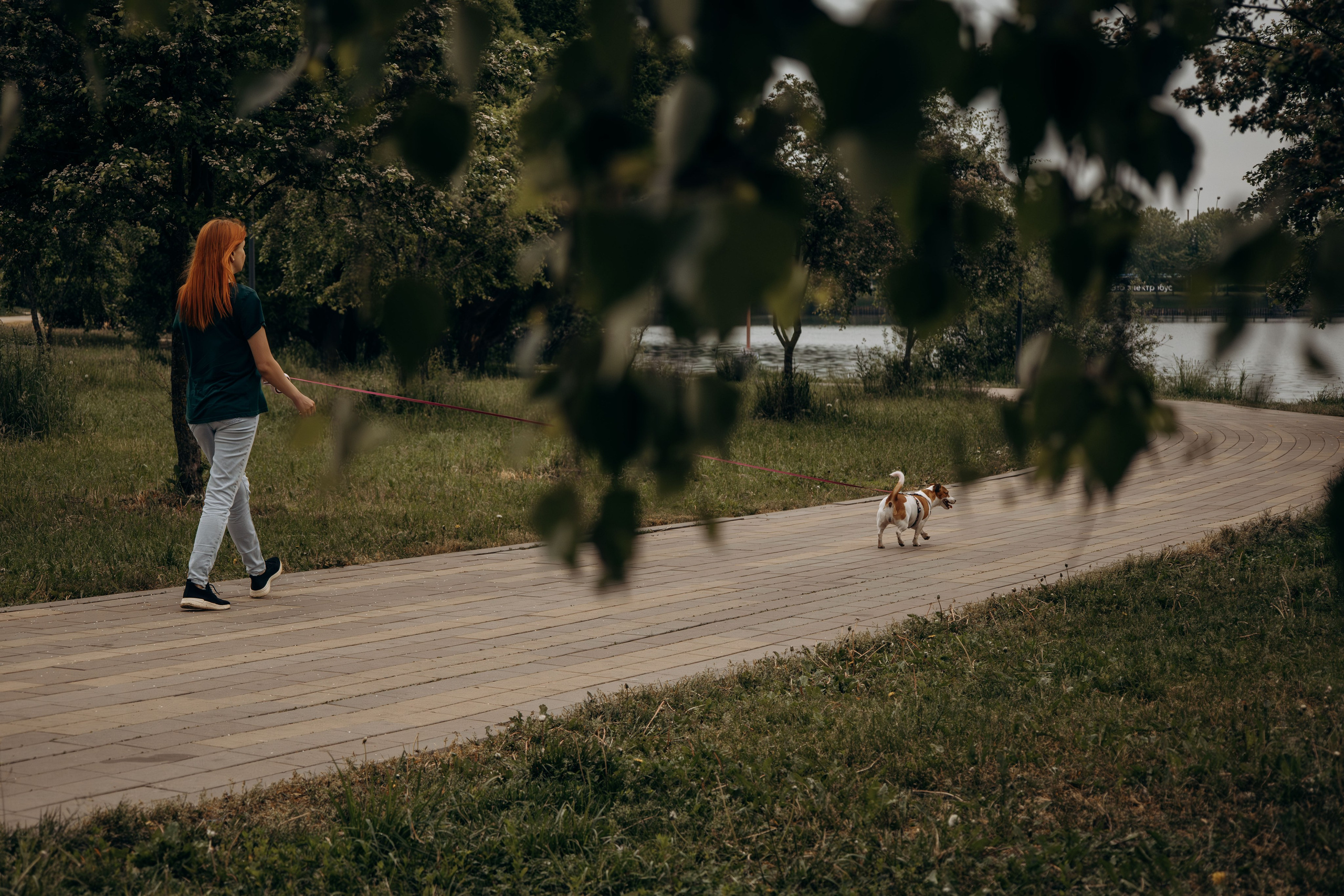 Моя маленькая спутница: Банни и Настя в Южнобутовском парке. Фотограф-анималист в Москве Екатерина Тихонова