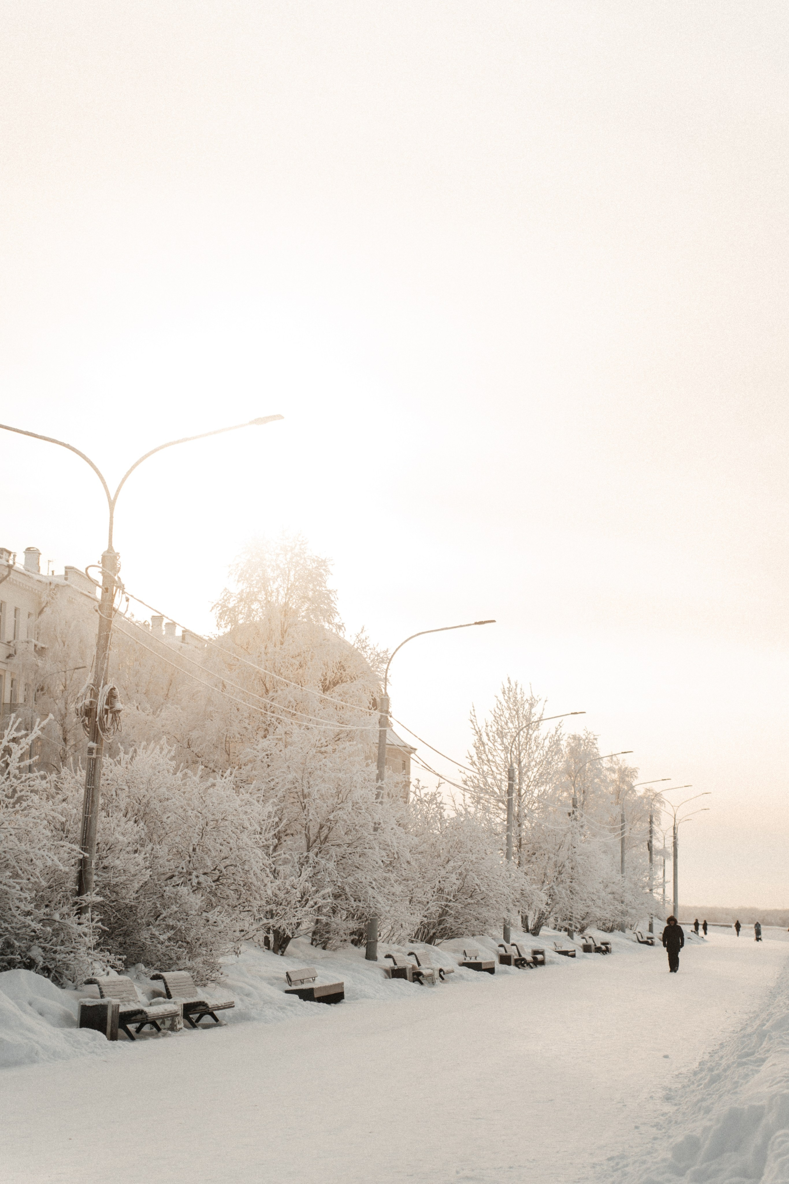 [our pulses aligned…]. Фотограф в Архангельске