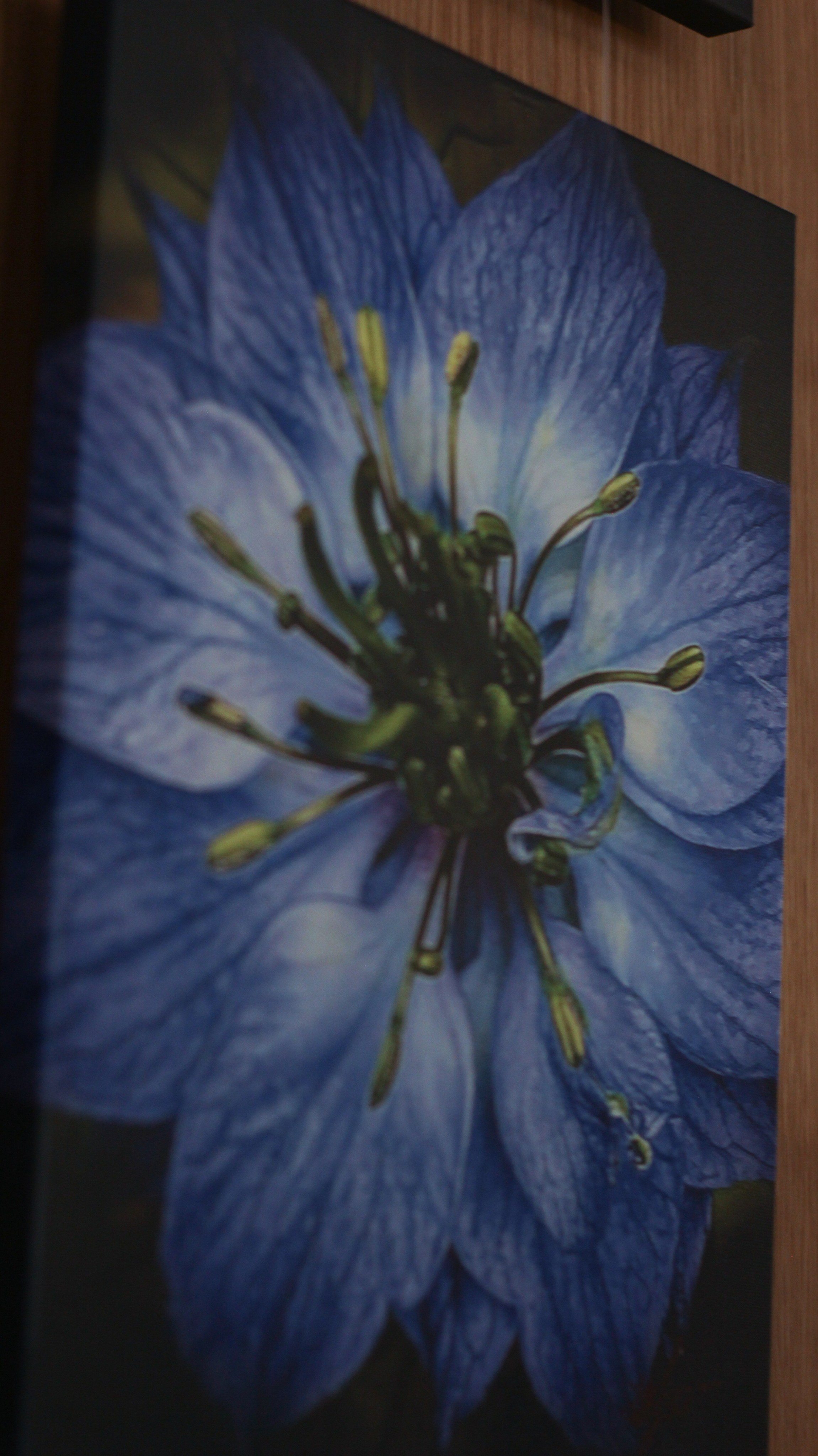 Казанский собор и Дом Книги. Портретный фотограф DanilNabody