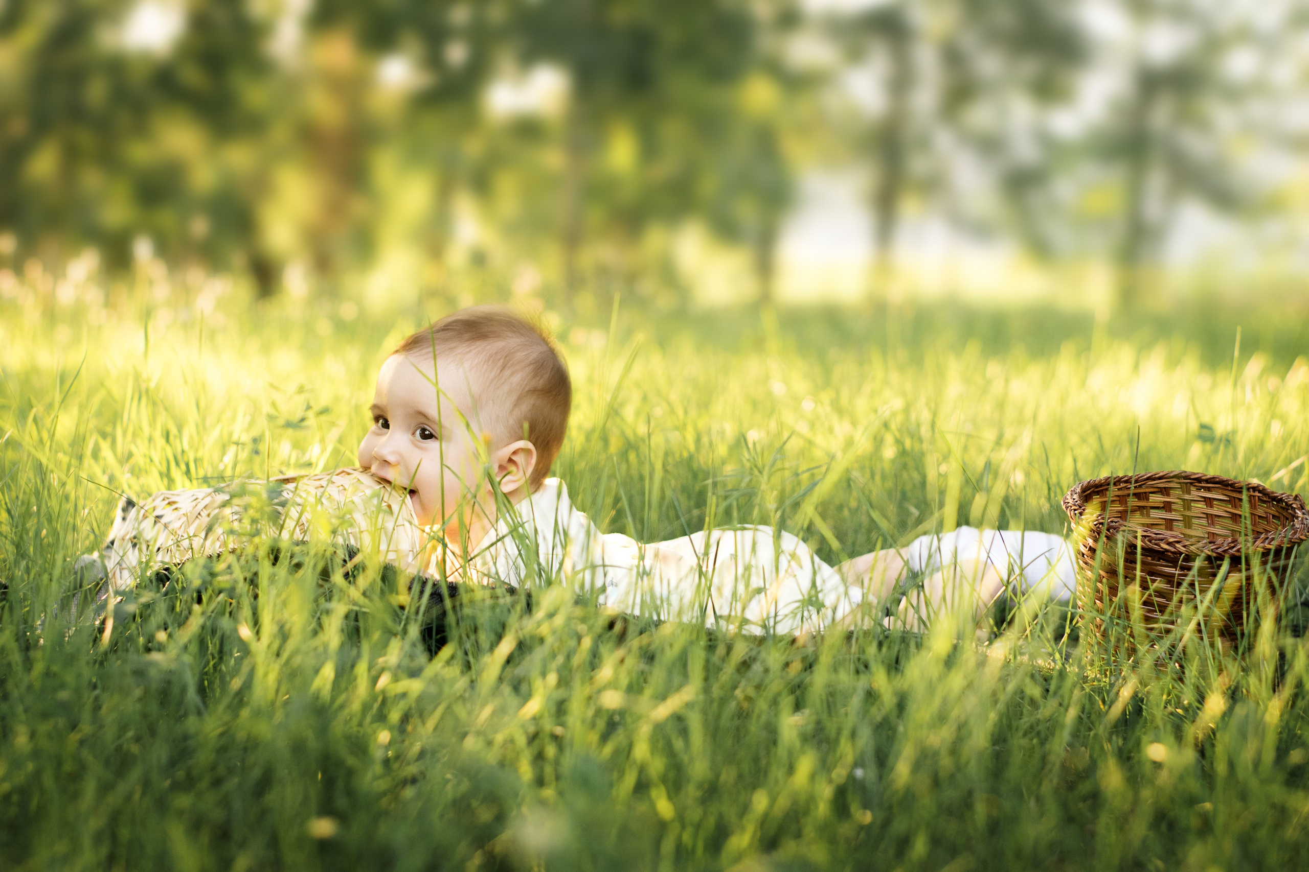Семейная и детская съемка. Фотосессии на природе. Красноярск