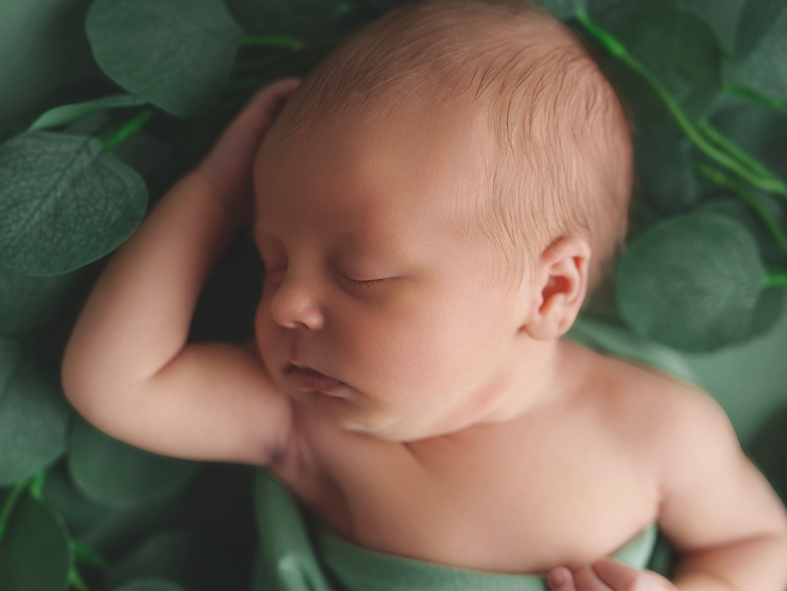 ✨. Профессиональный фотограф новорожденных Тверь