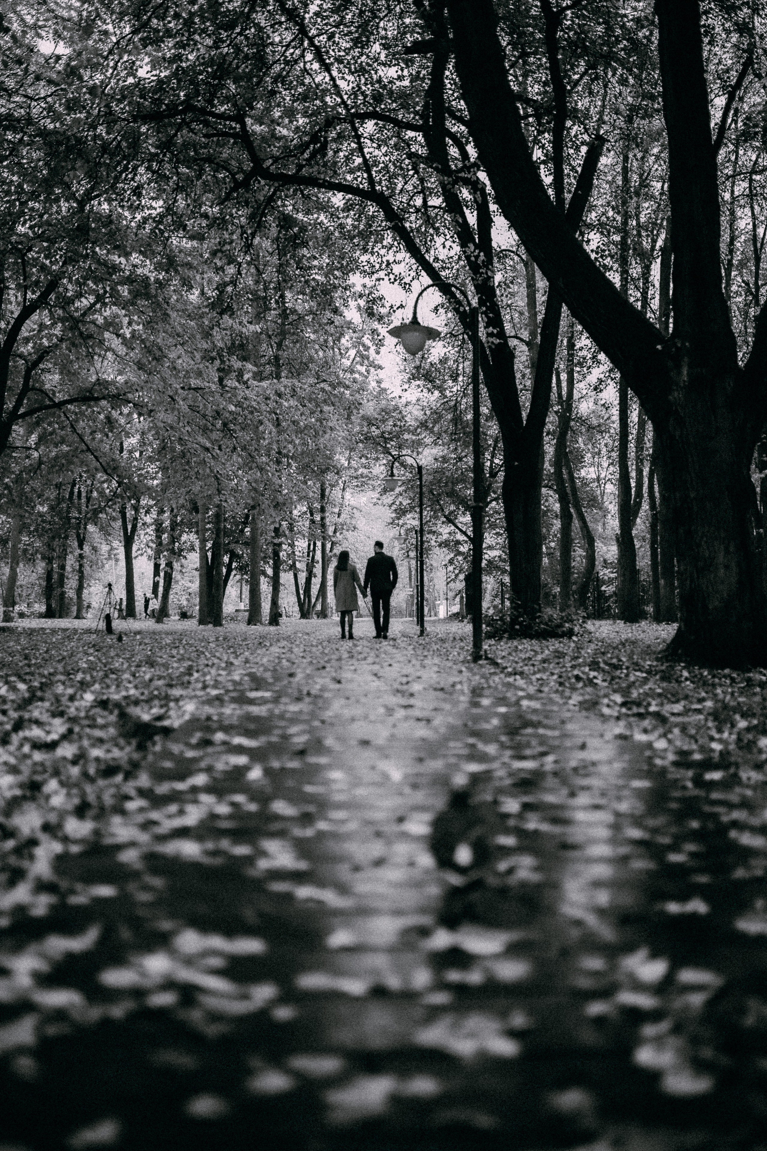 Анфиса & Леонид. Фотограф НОГИНСК, Москва, Анастасия Белая