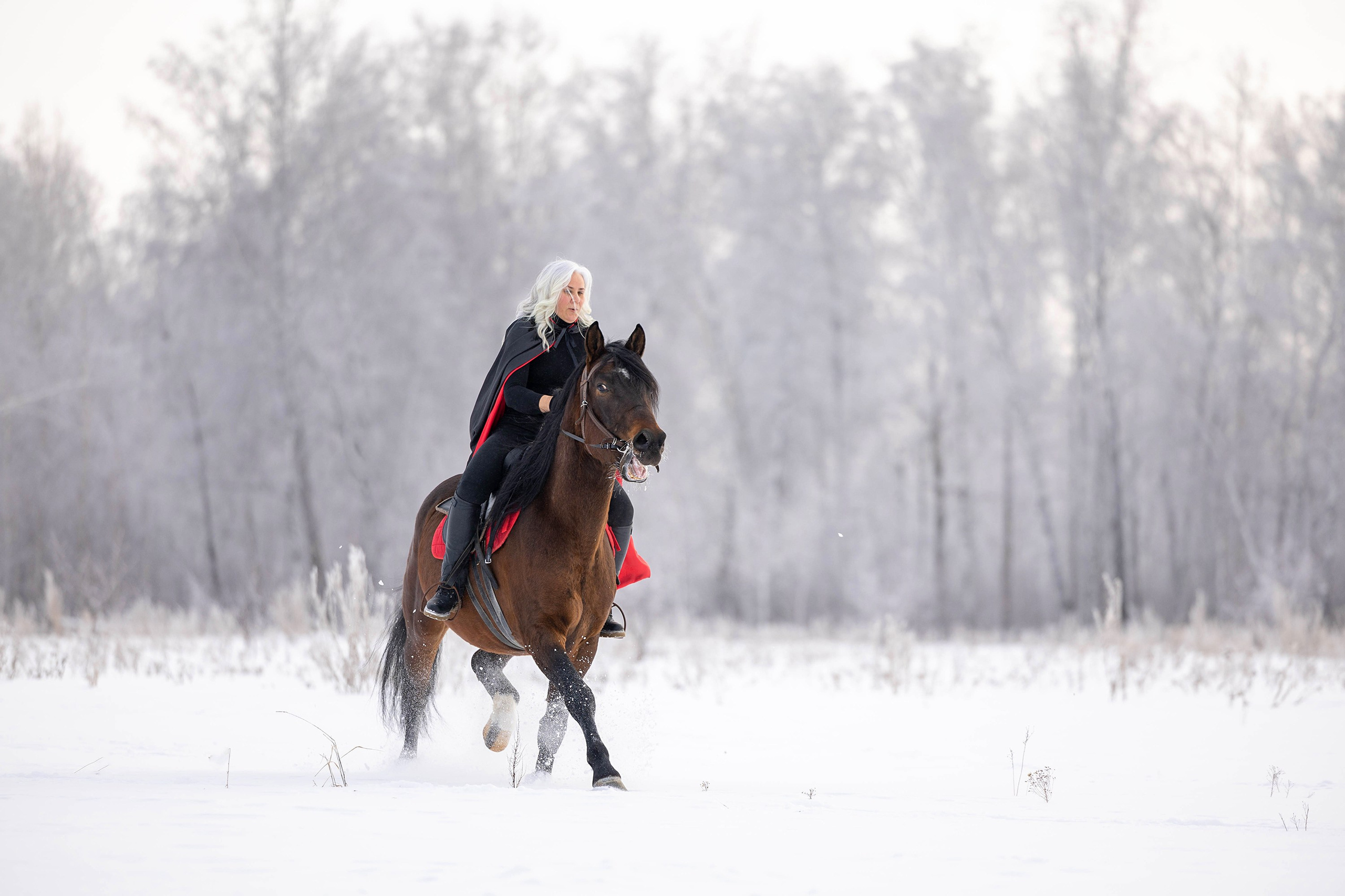 Репотражная съёмка. Фотограф-анималист в Омске Екатерина Маричева