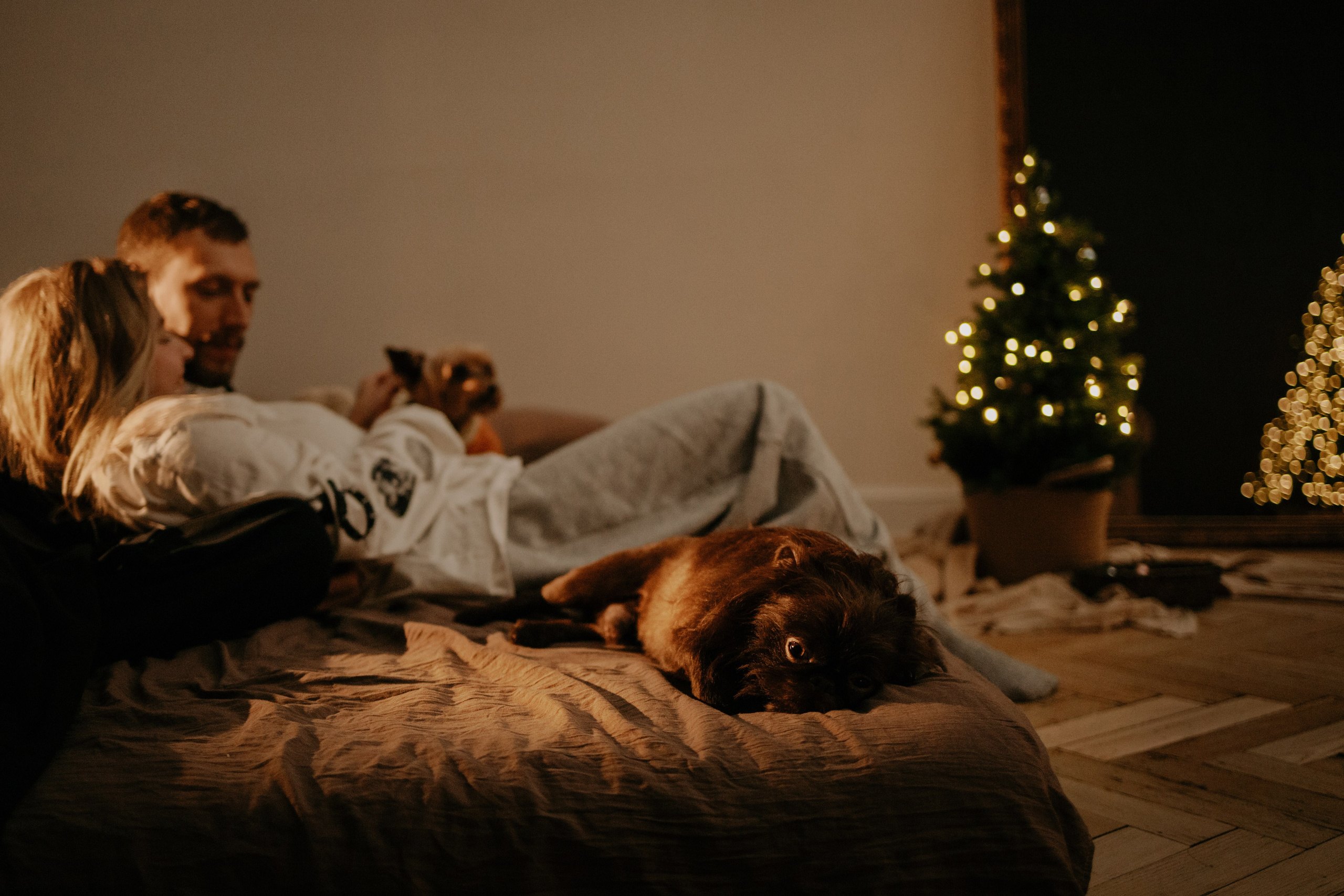 Оззи, Йоша и их люди. Семейный фотограф Питер •love-story•|Санкт-Петербург