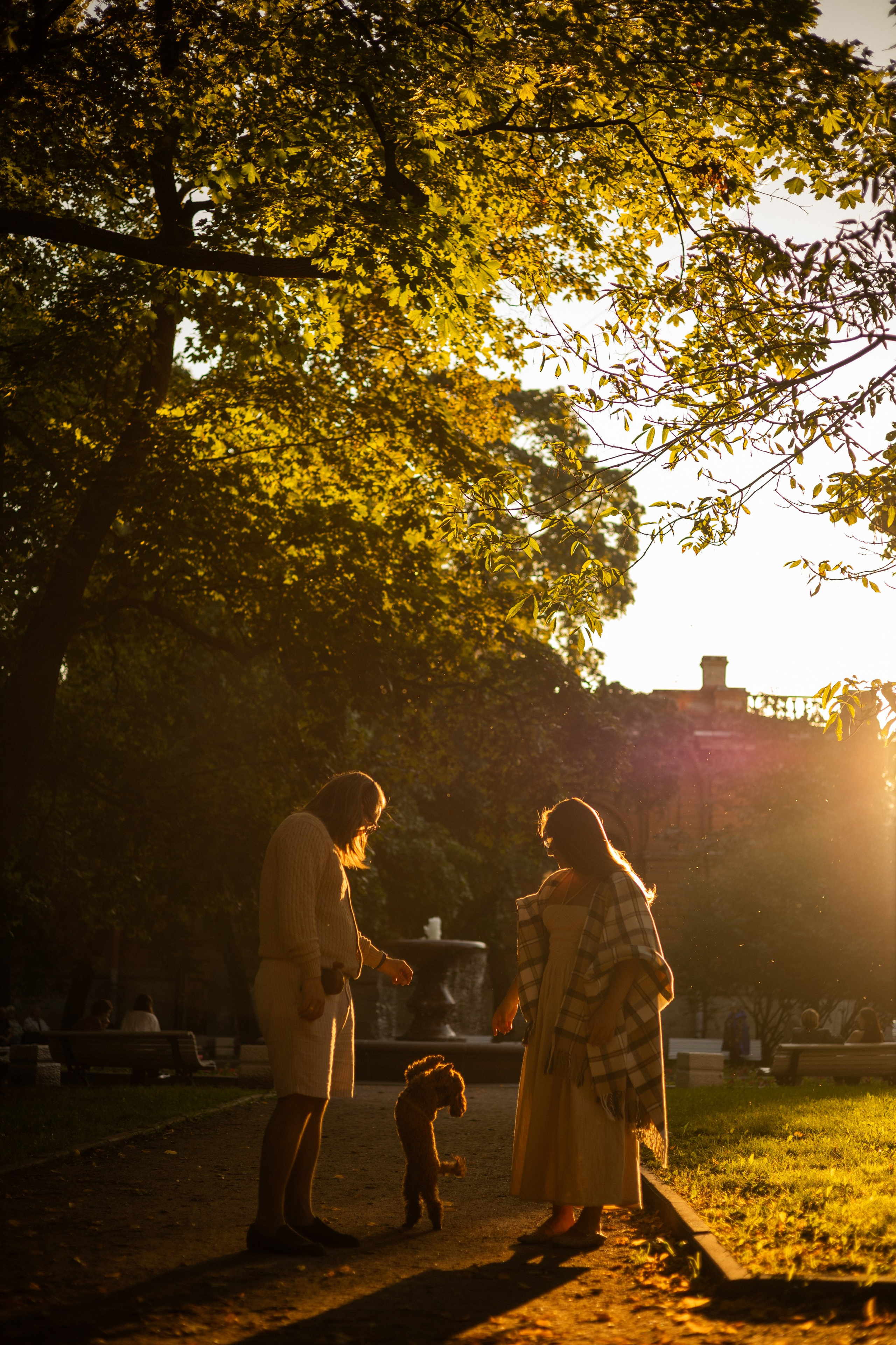 Мишель и её семья. Фотограф — анималист •love-story•|Санкт-Петербург