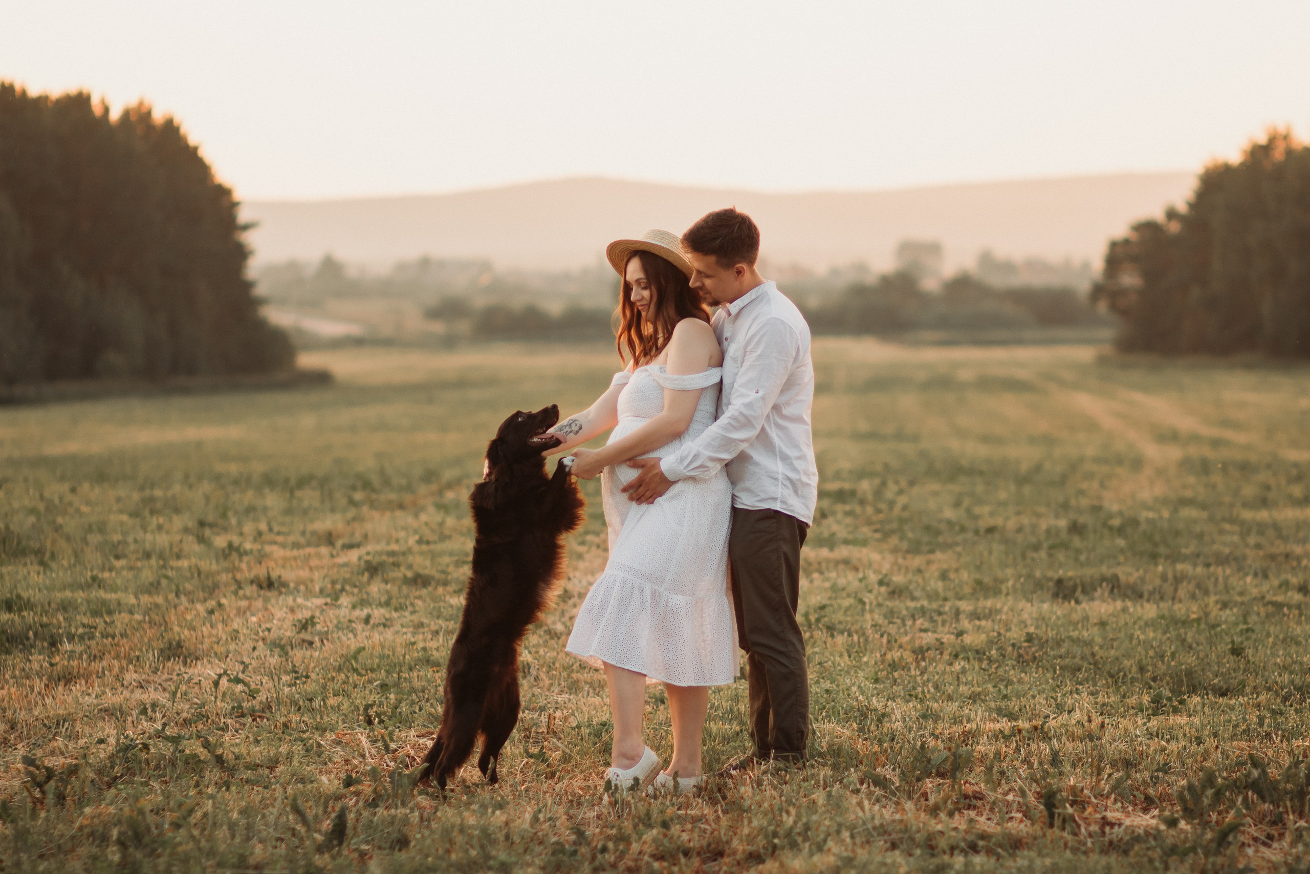 Фотосессия беременности в поле на закате. Семейный фотограф Екатеринбург Черепанова Олеся