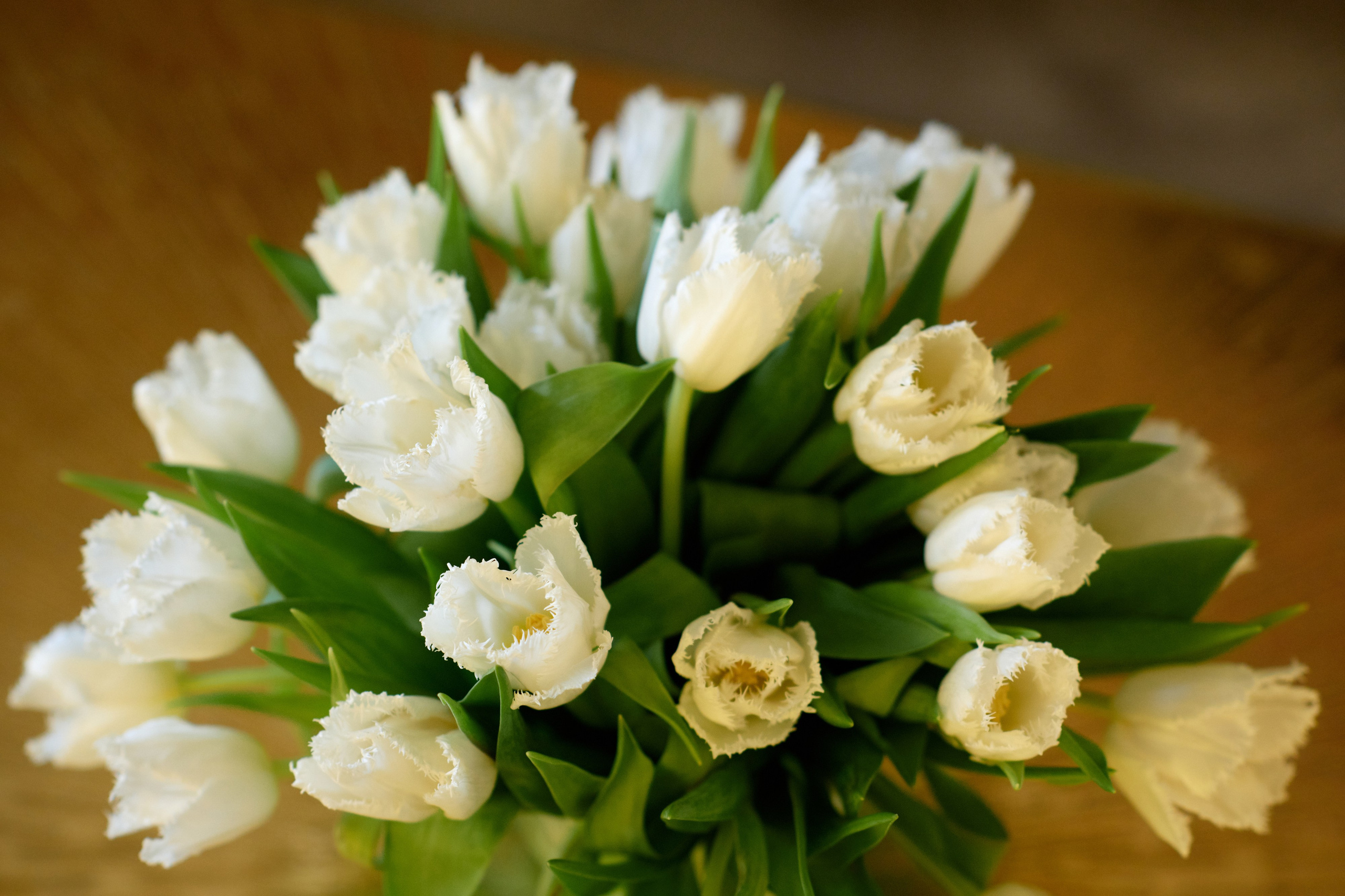 LV 10.03.2021. Фотограф