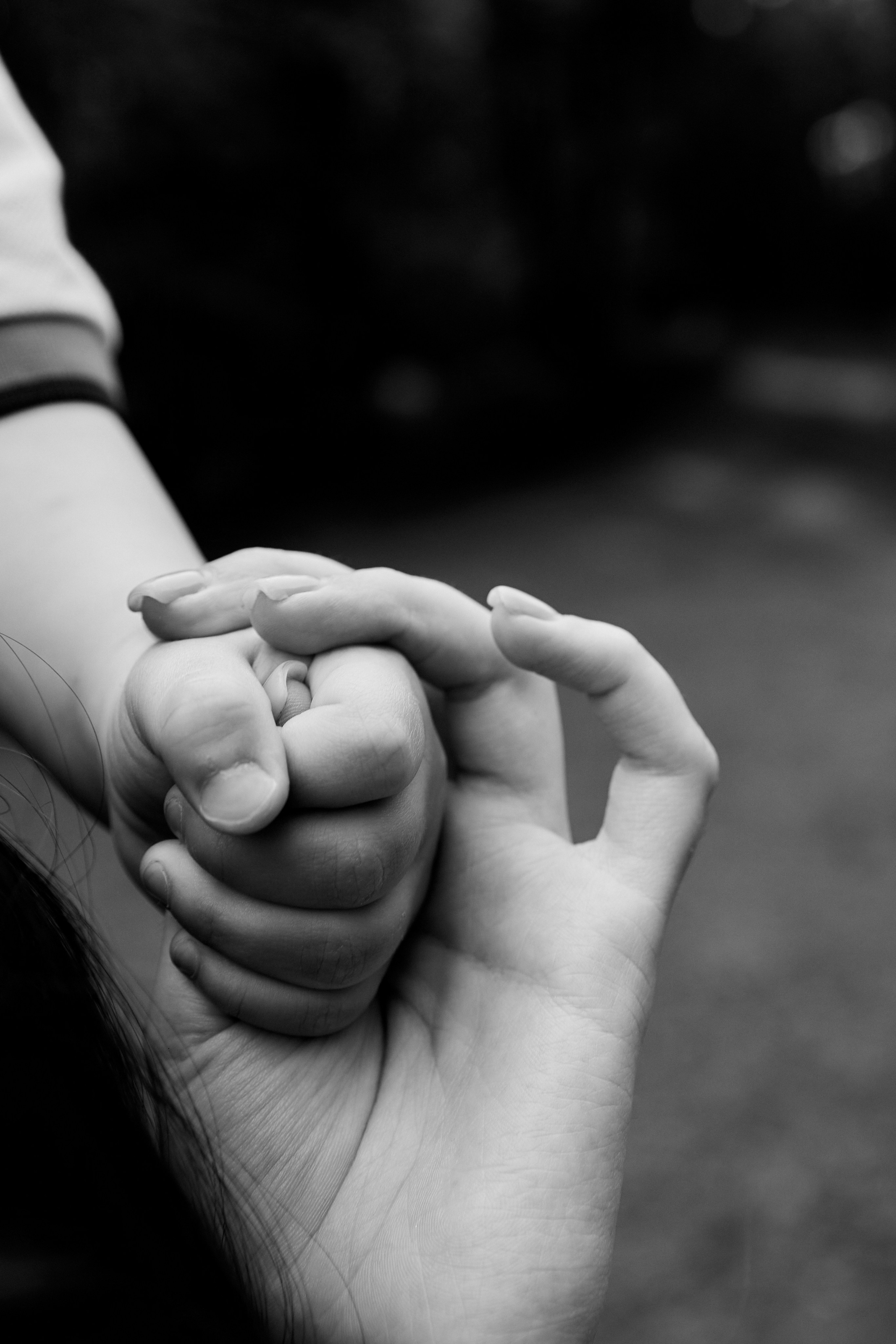 Маша Вова и Ваня. Свадебный и семейный фотограф