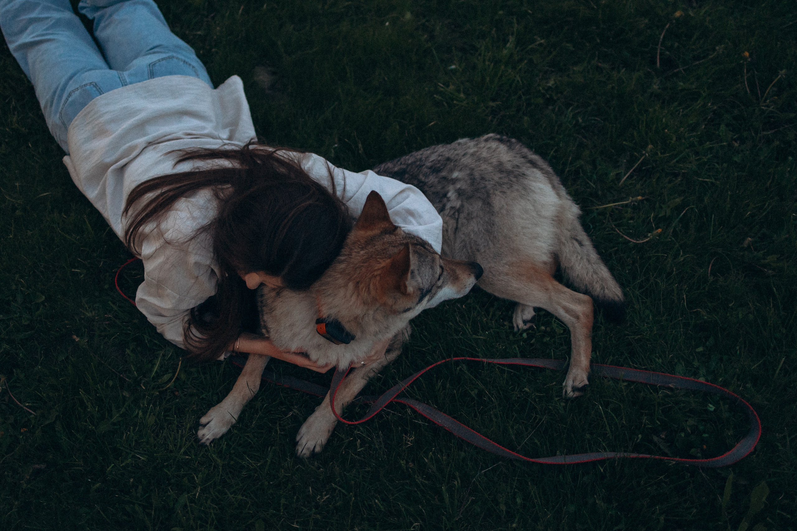Аня и ее семья. Фотораф — анималист Мария Шистка